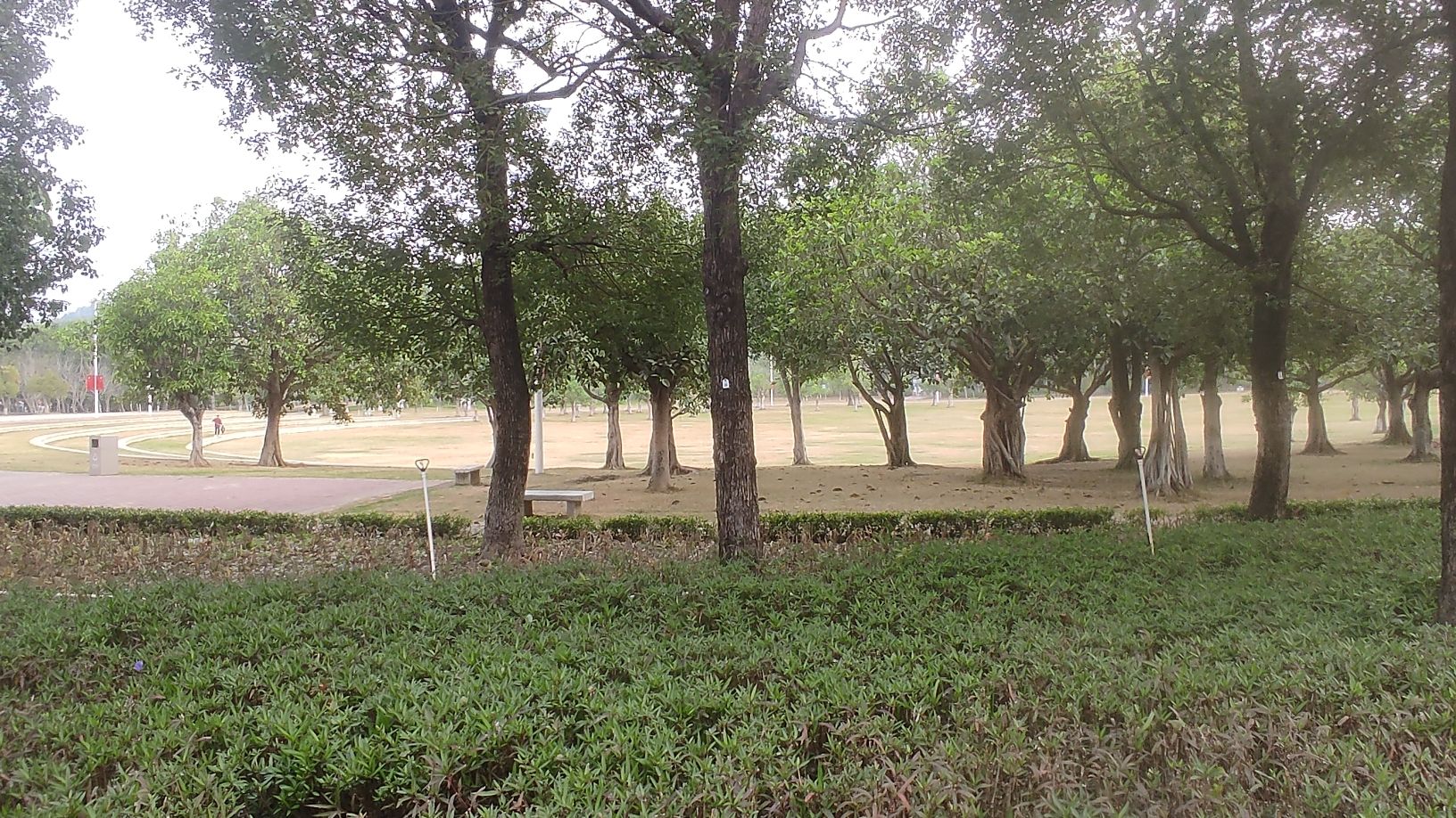 红花岭公园旅行图片 1