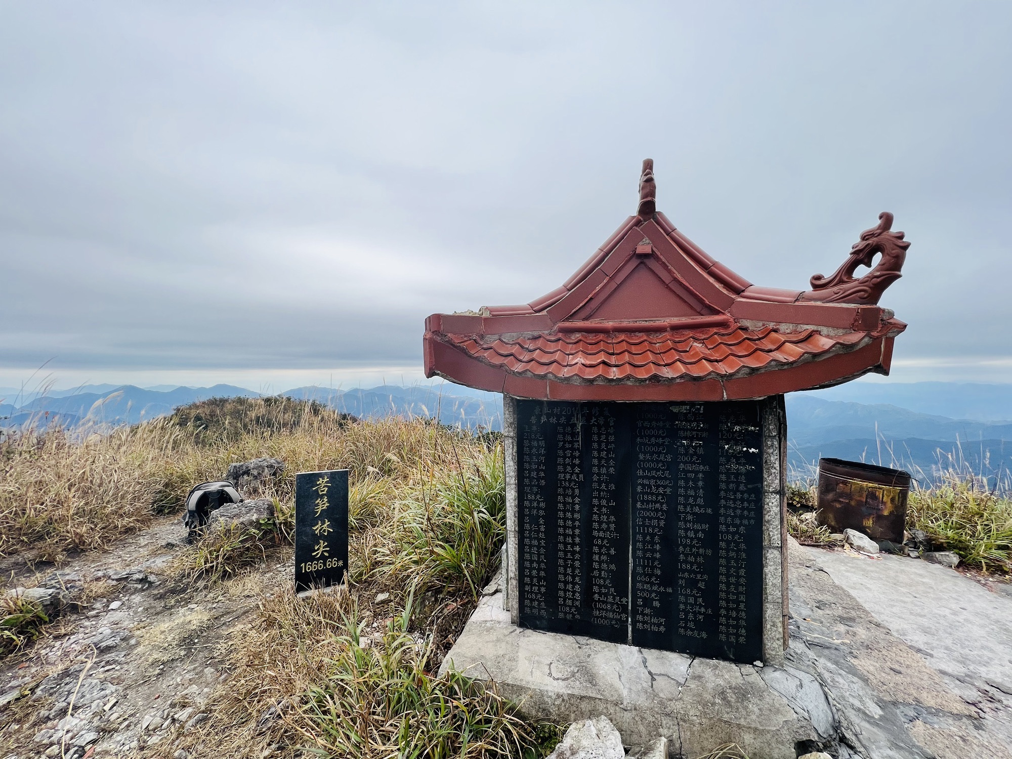 苦笋林尖旅行图片 2