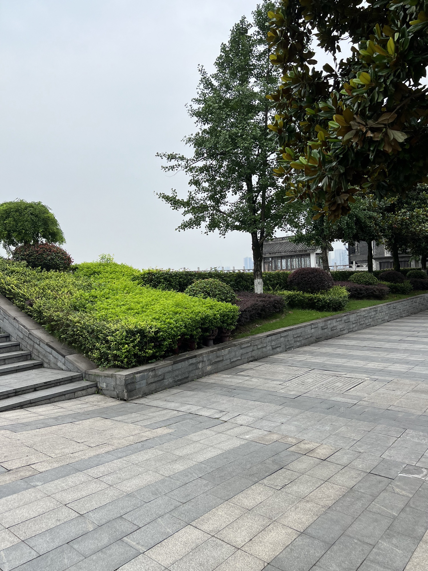 龙洲湾公园儿童公园旅行图片 3