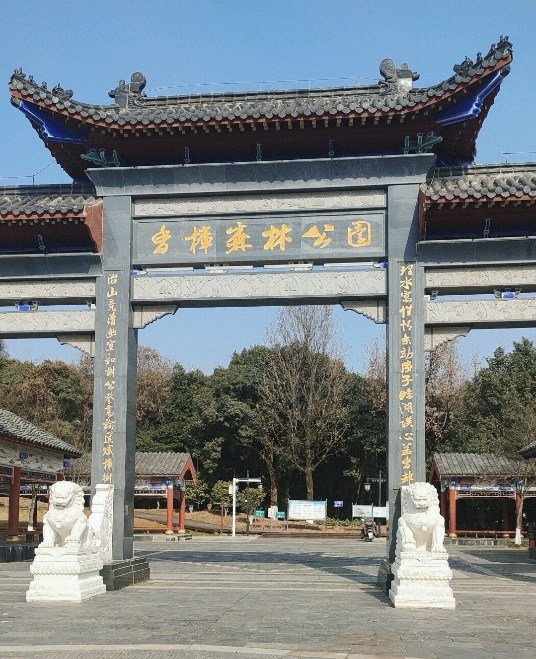 香樟森林公园旅行图片 1