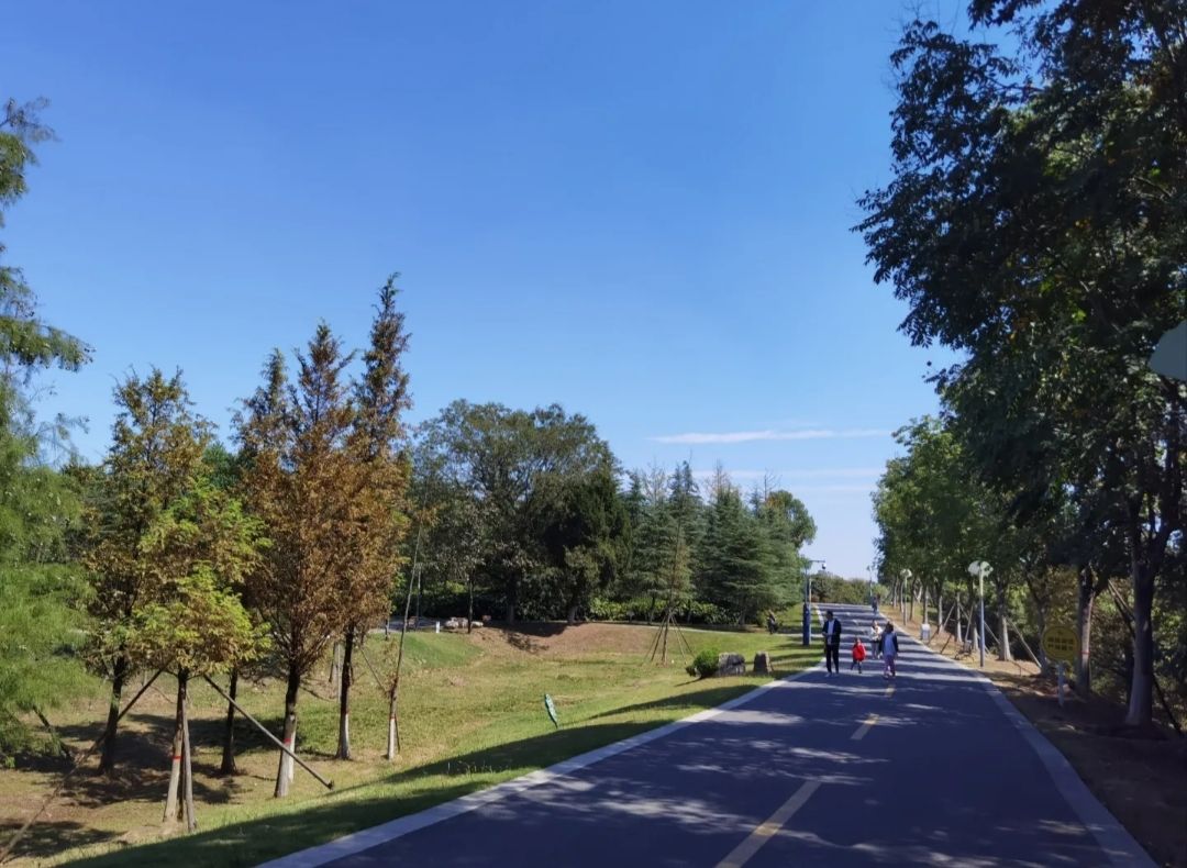 羊山森林公园旅行图片 1