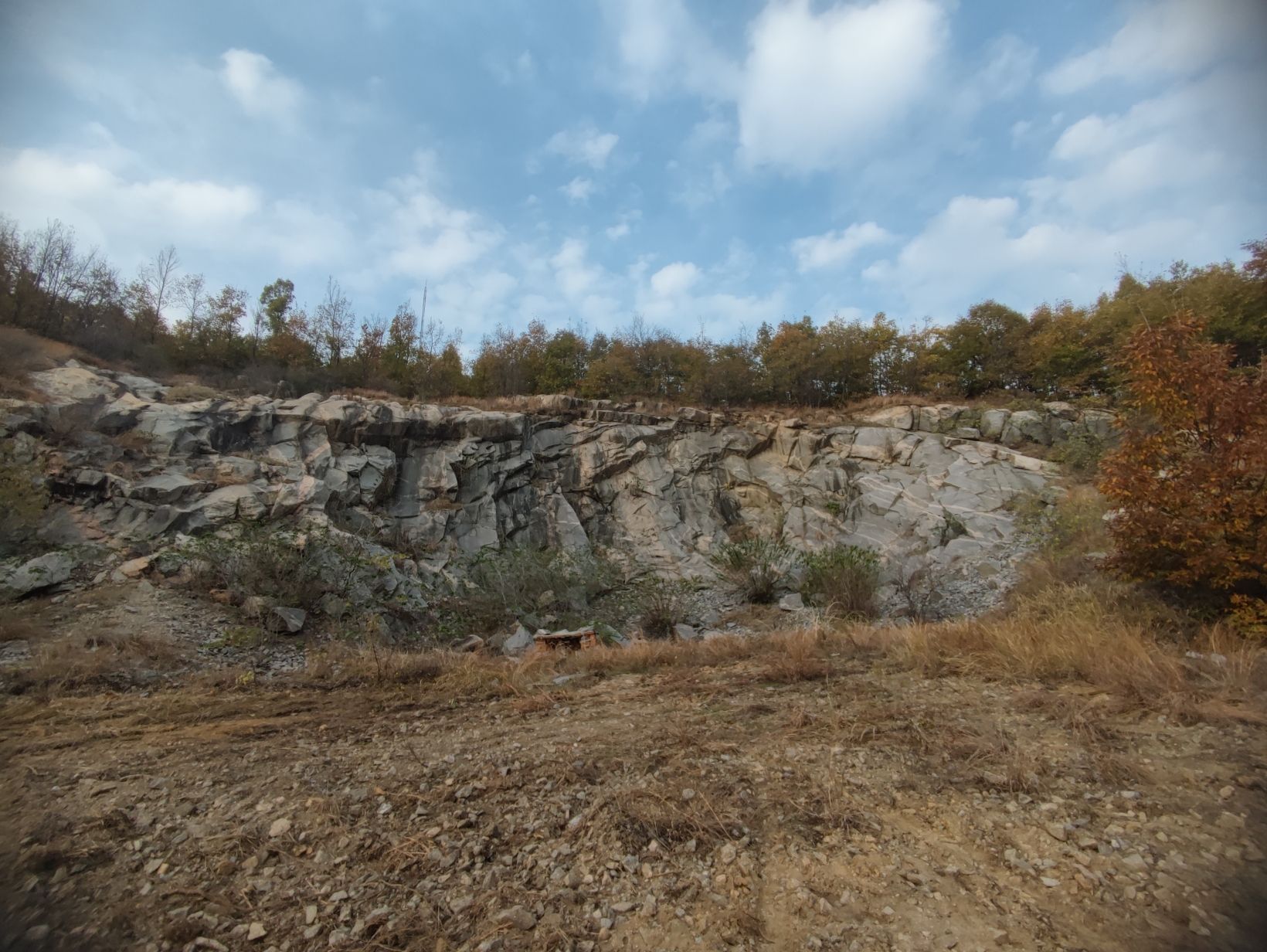 羊山森林公园旅行图片 2