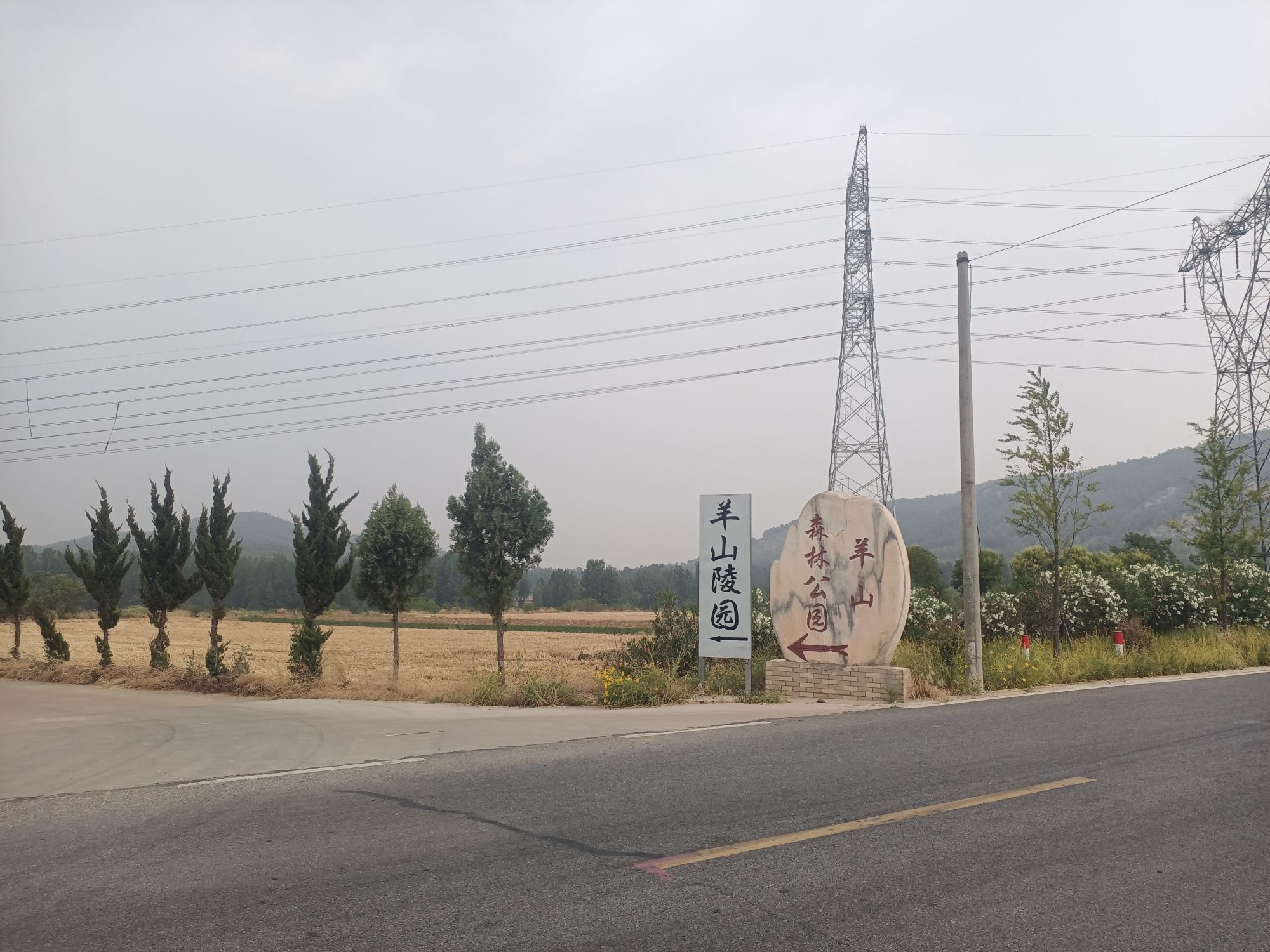 羊山森林公园旅行图片 1
