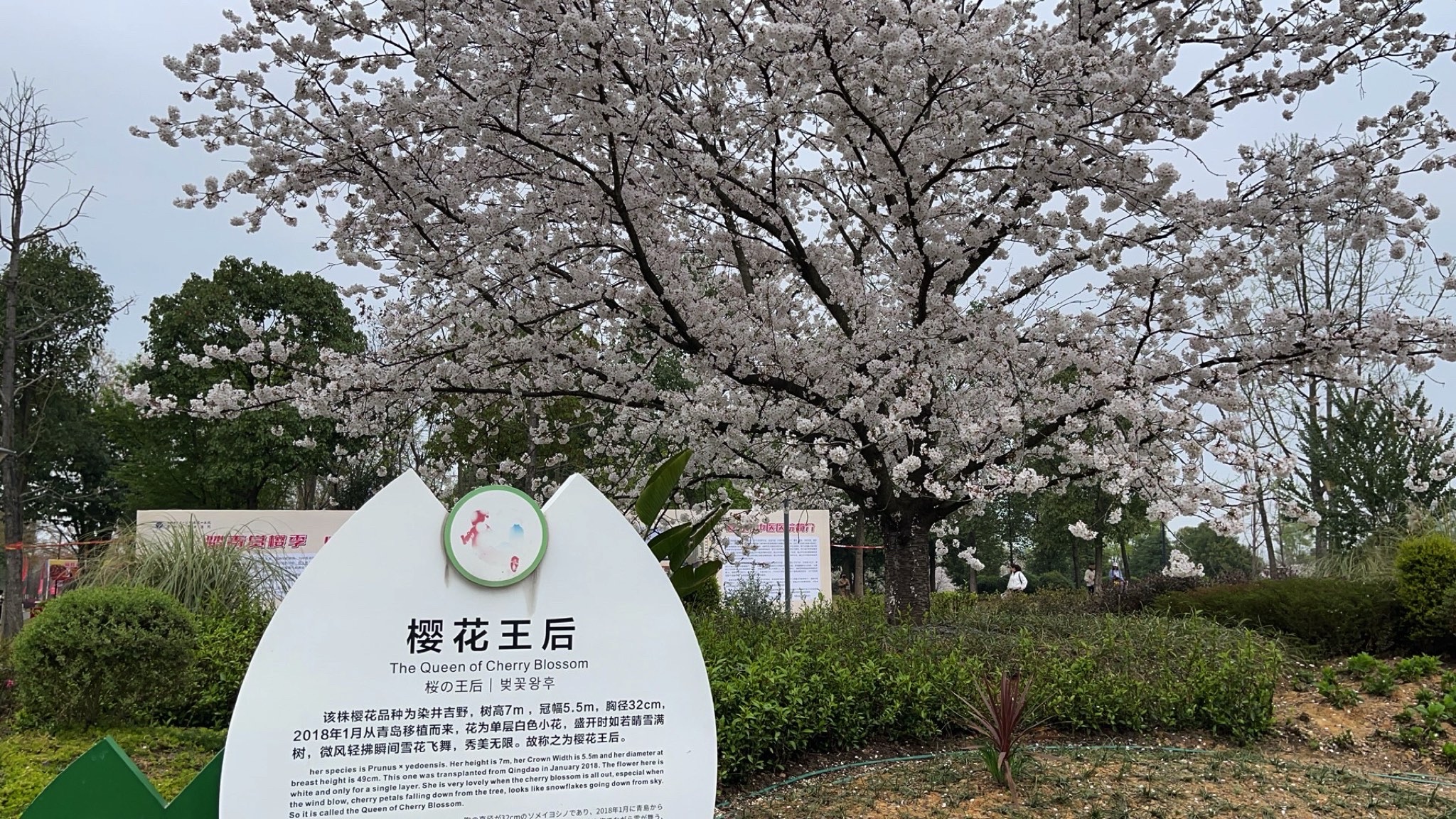 东坡文创园旅行图片 2