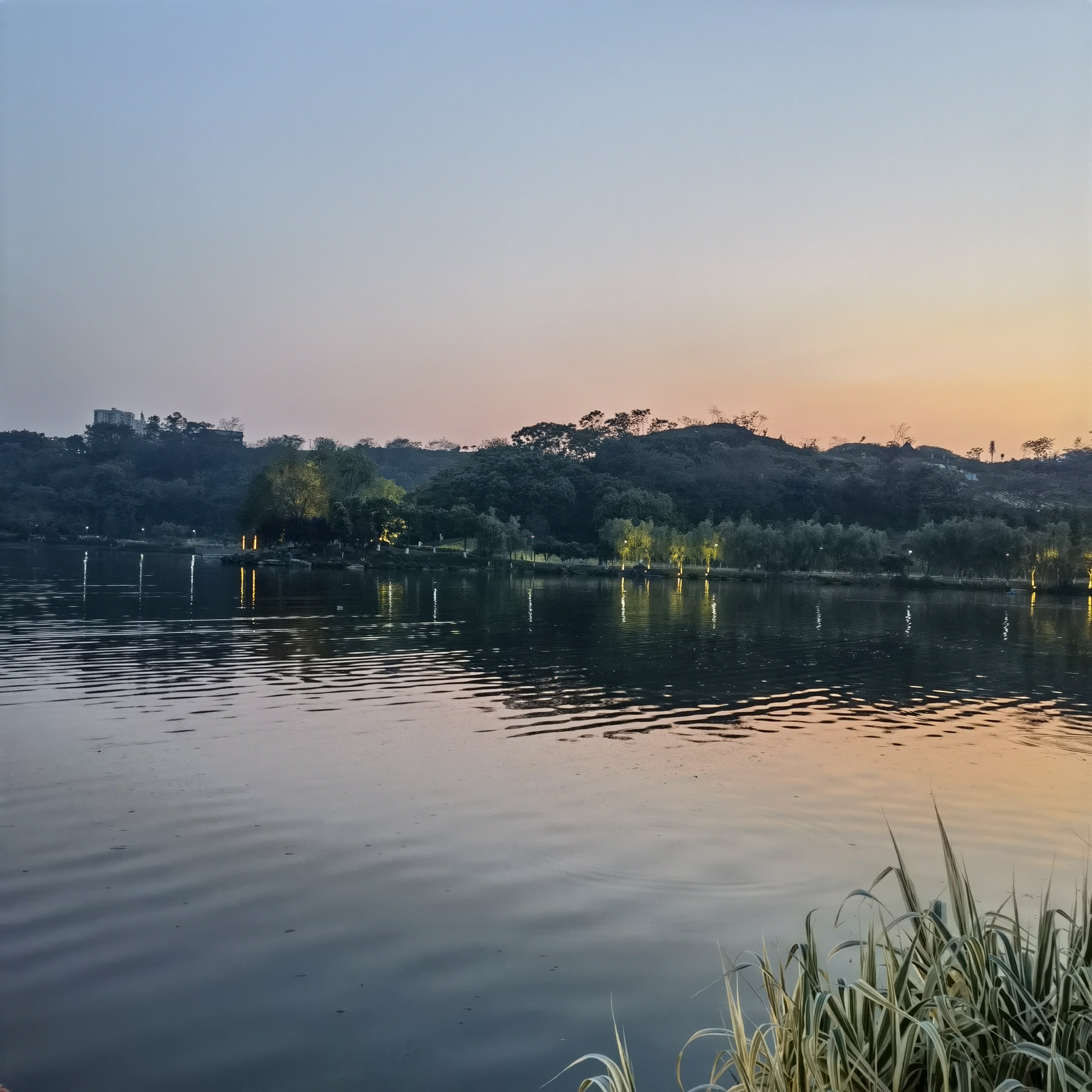 牡丹湖湿地公园旅行图片 3