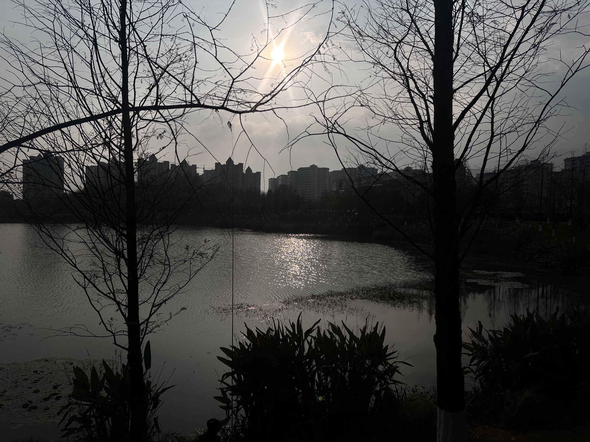牡丹湖湿地公园旅行图片 1