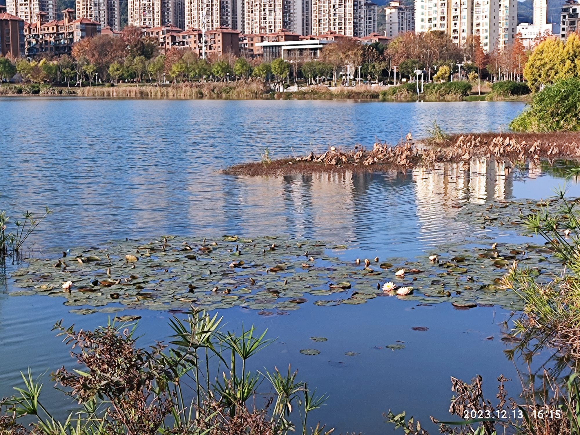 牡丹湖湿地公园旅行图片 1