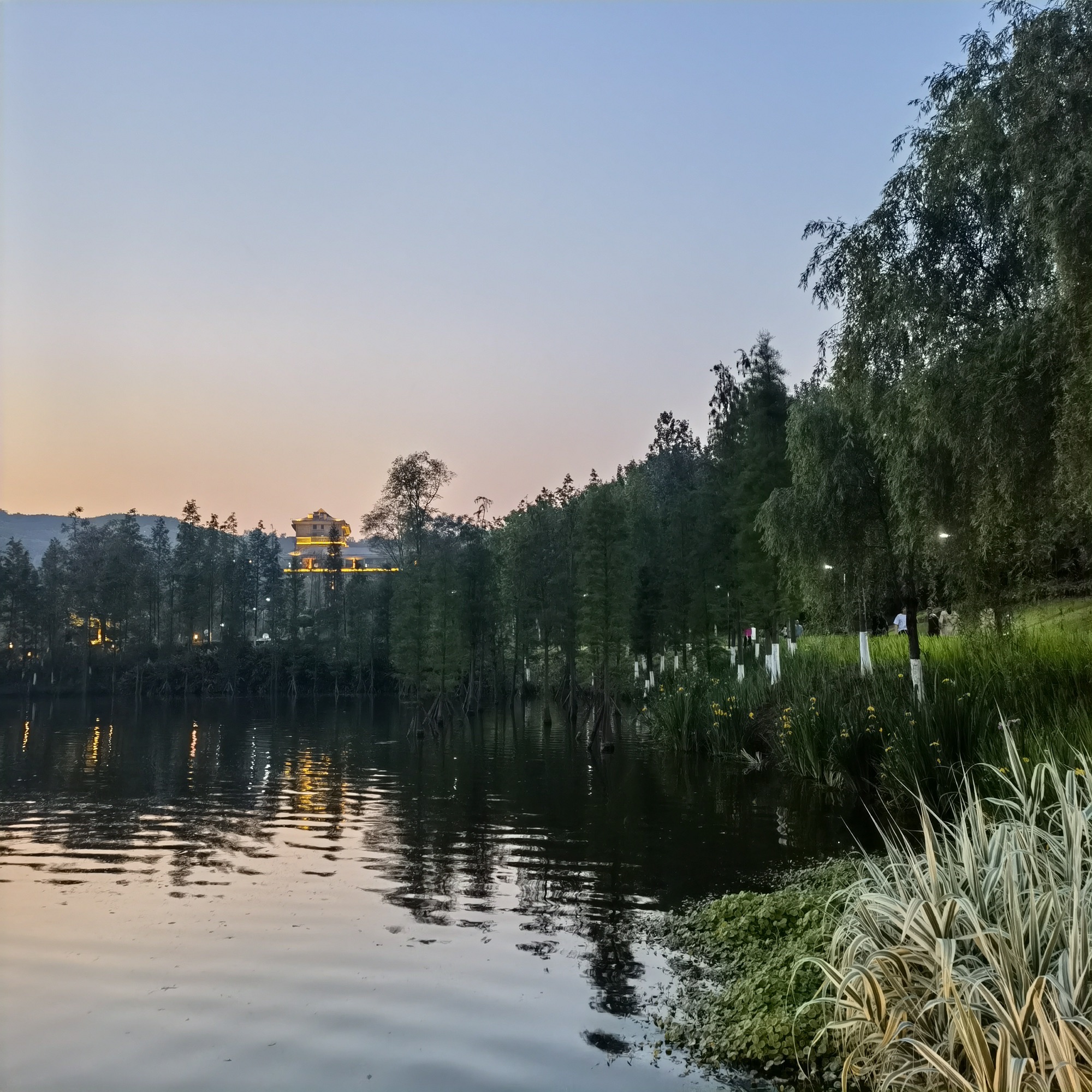 牡丹湖湿地公园旅行图片 2