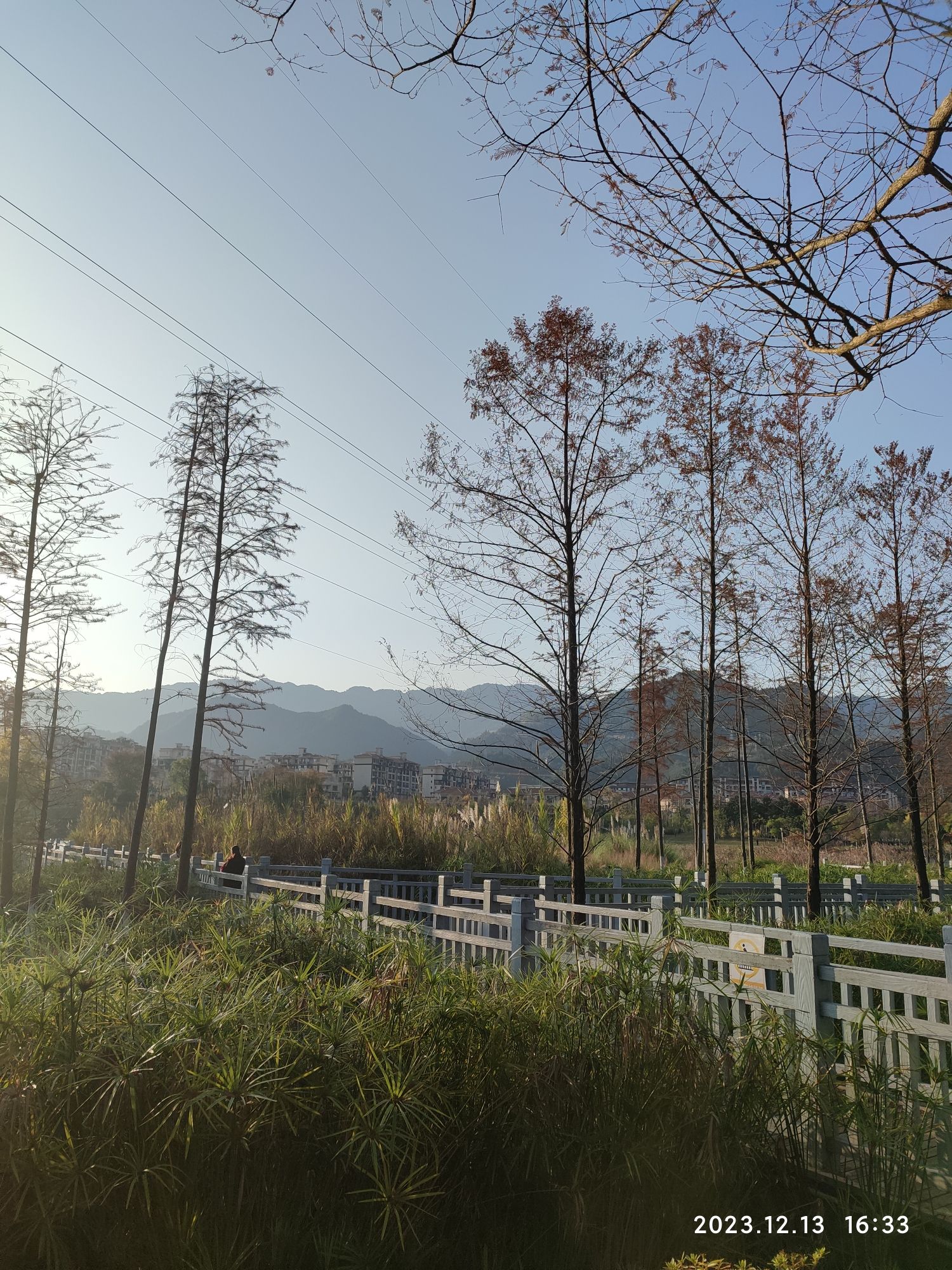 牡丹湖湿地公园旅行图片 3
