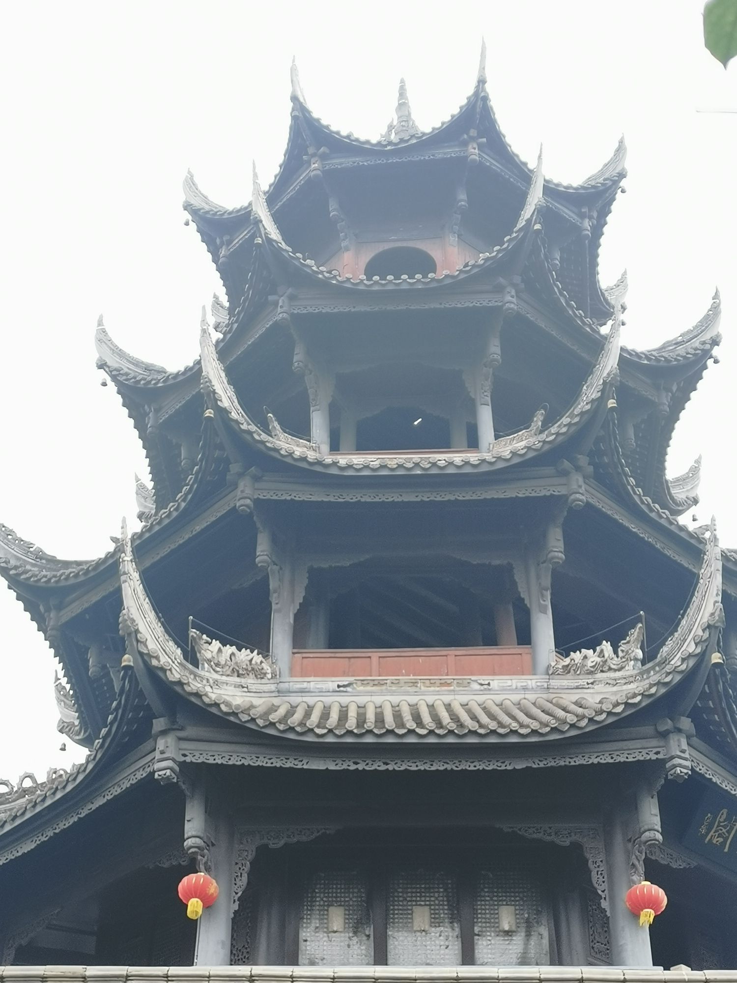 乐道园旅行图片 1