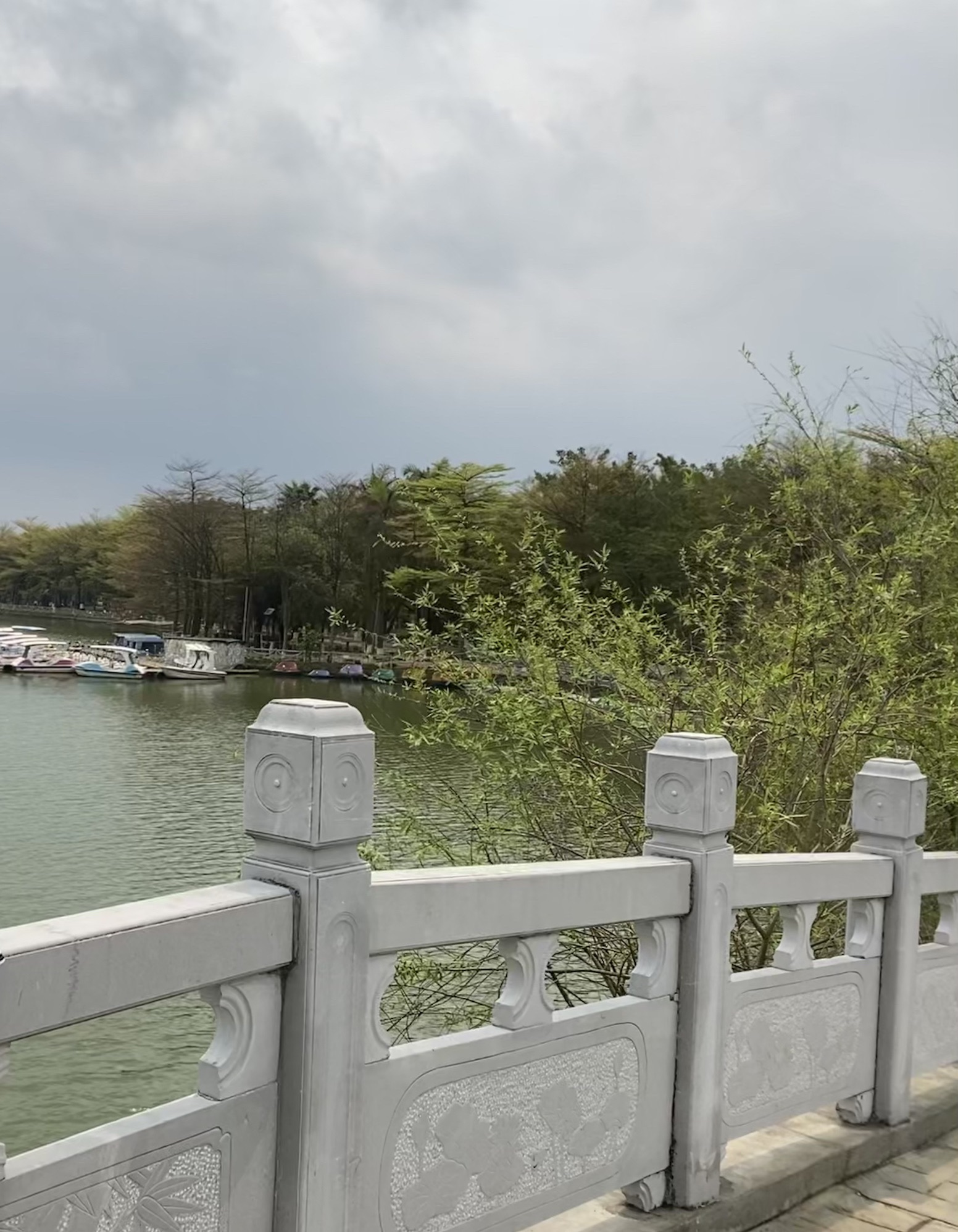 锦绣乡村九凌湖旅行图片 1