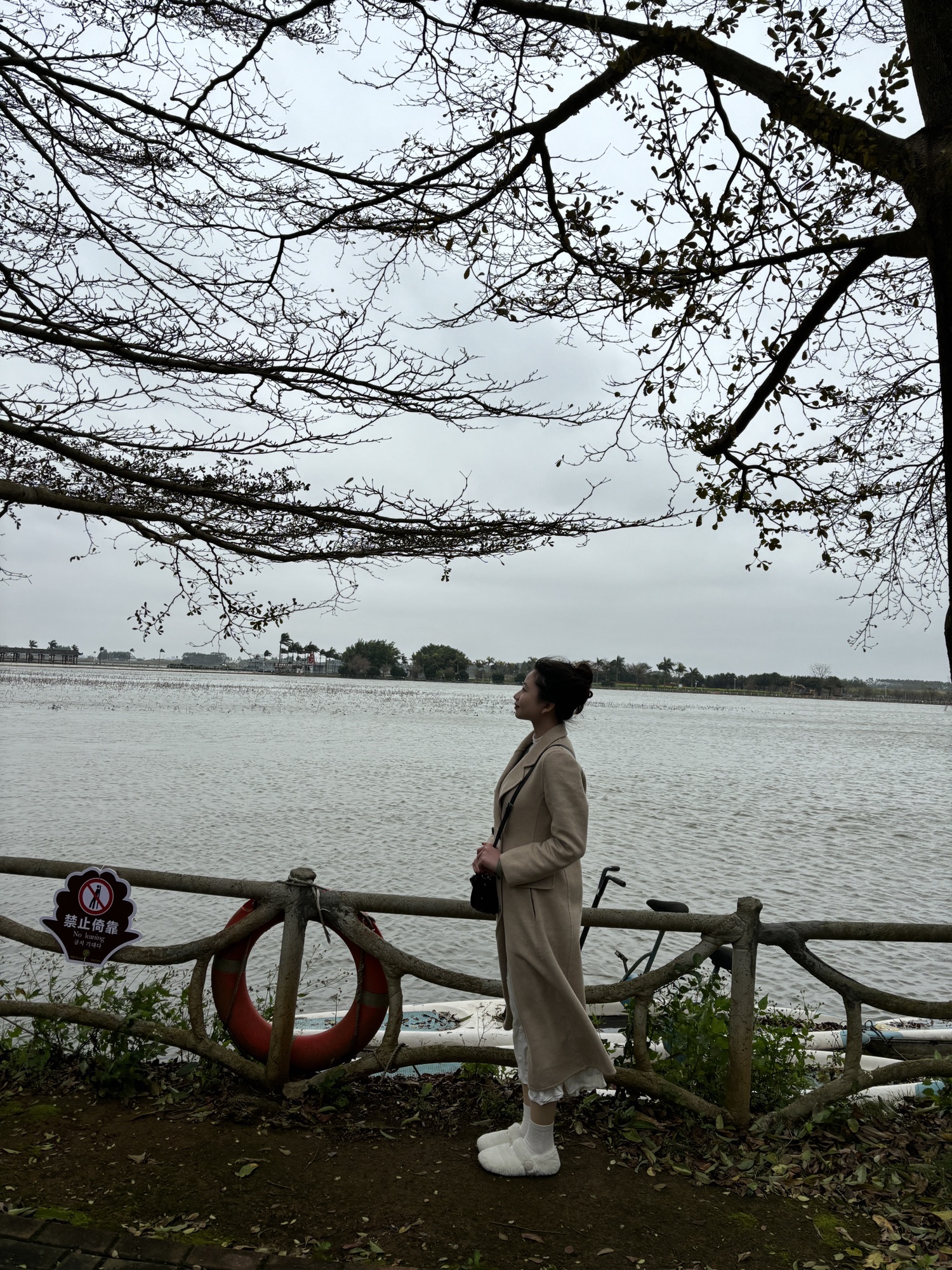 锦绣乡村九凌湖旅行图片 2