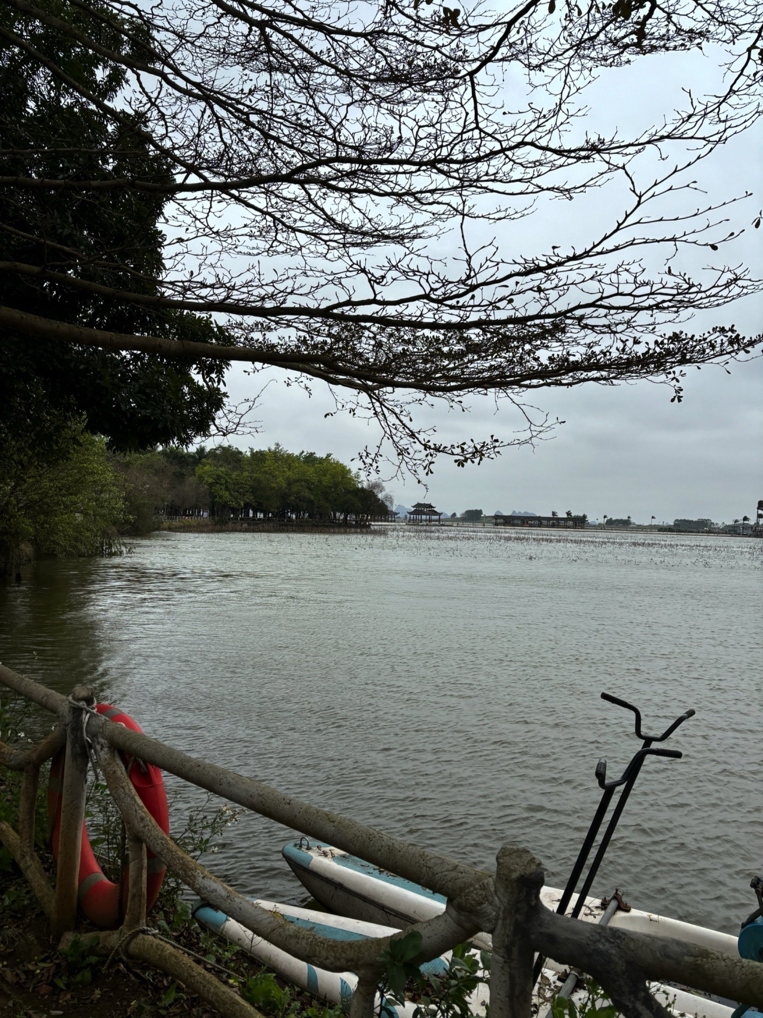 锦绣乡村九凌湖旅行图片 1