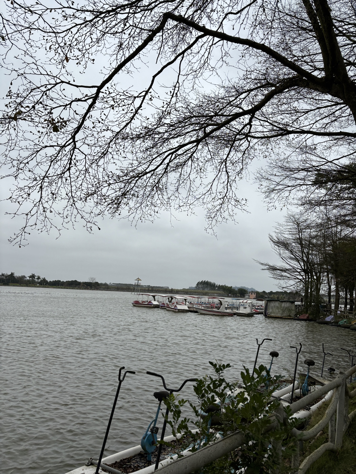 锦绣乡村九凌湖旅行图片 3