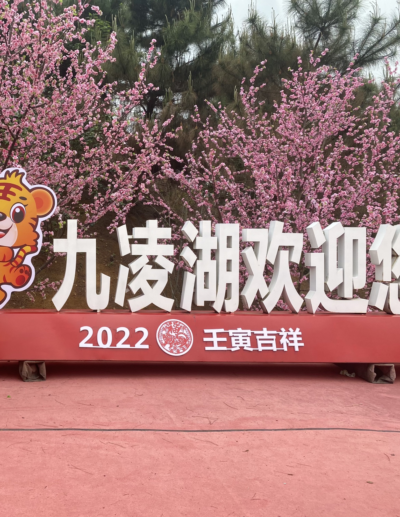 锦绣乡村九凌湖旅行图片 3