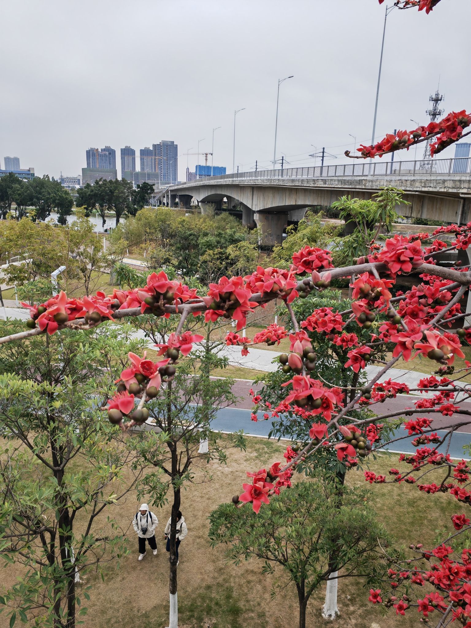 文翰湖公园旅行图片 3