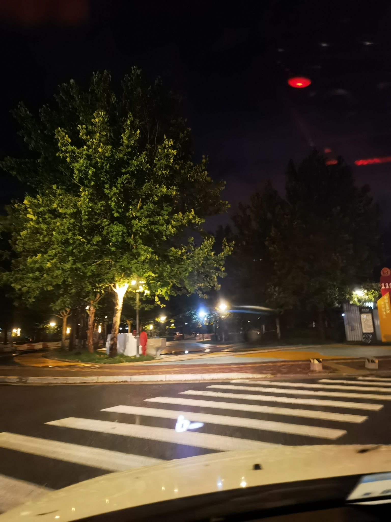 海韵园旅行图片 3