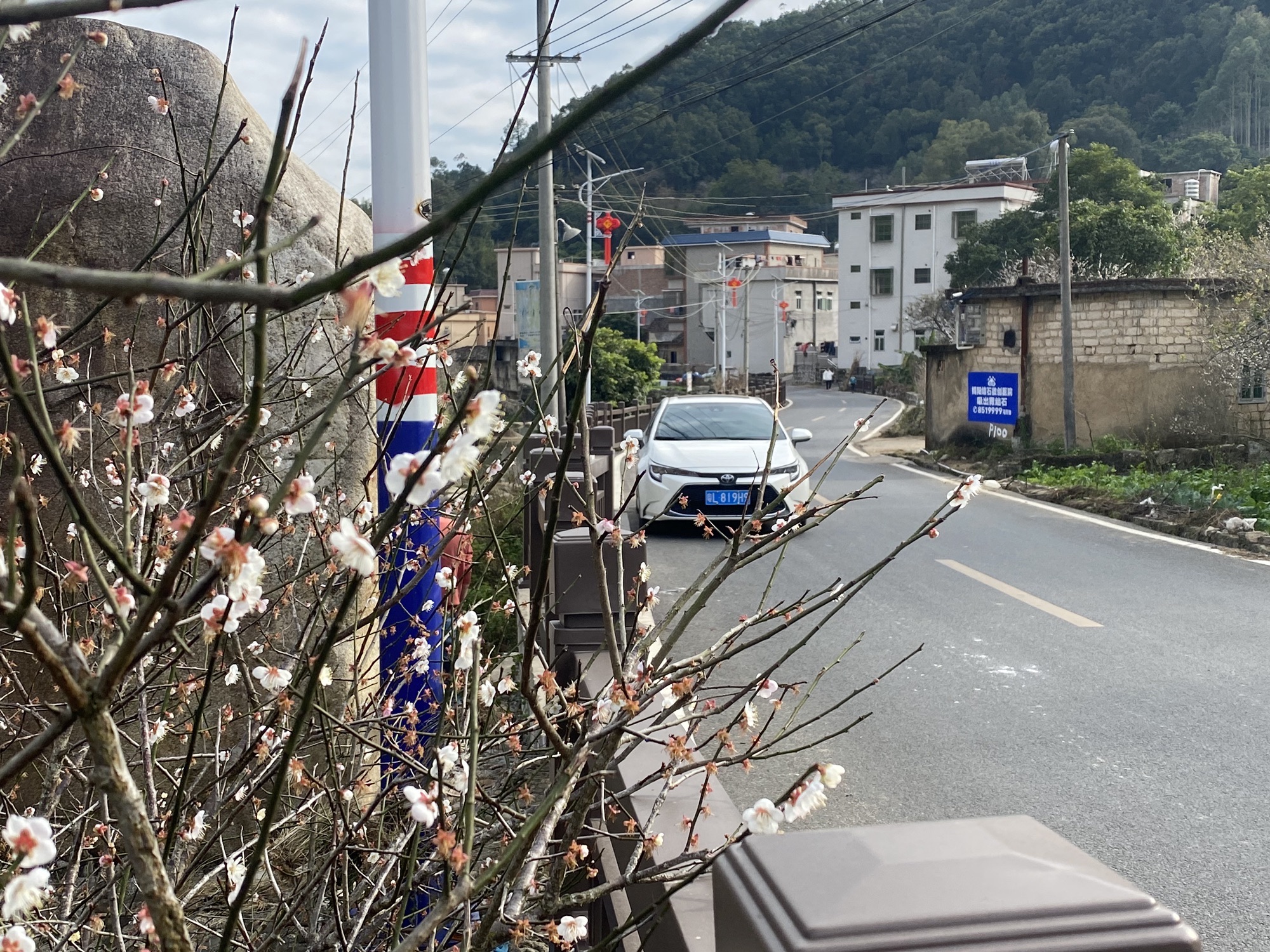 善德梅海旅行图片 3