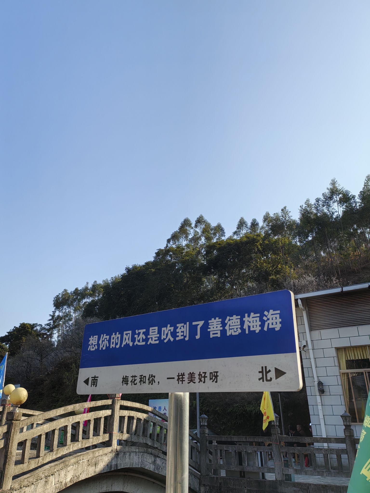 善德梅海旅行图片 3