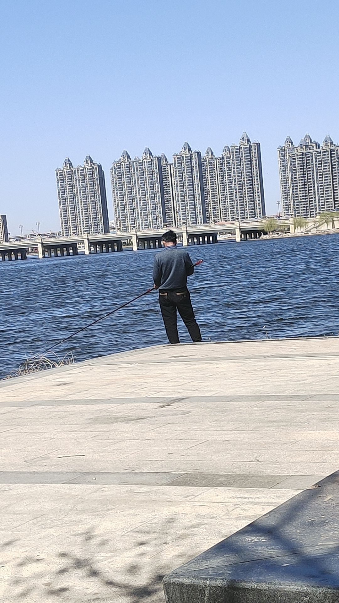 东营悦来湖公园旅行图片 3
