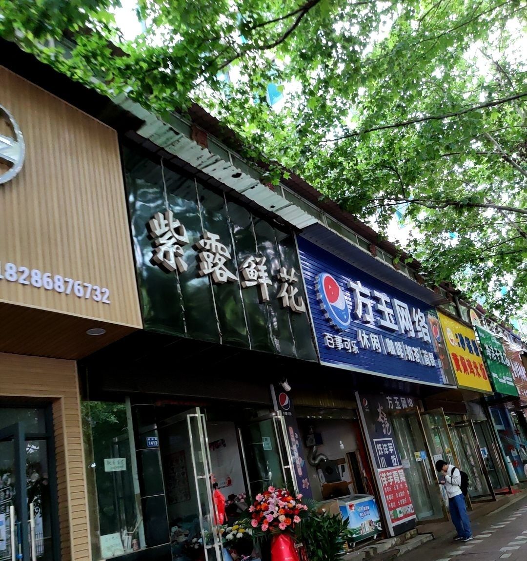 方玉网络
