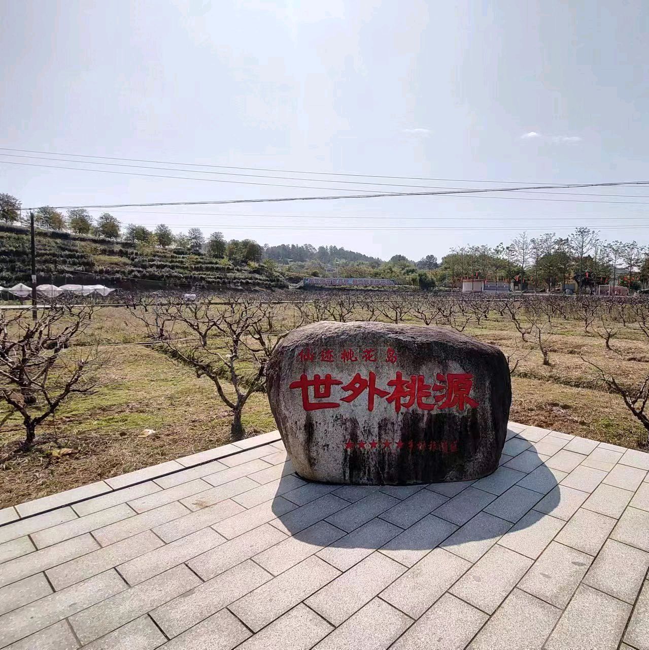 仙迹桃花岛旅行图片 1