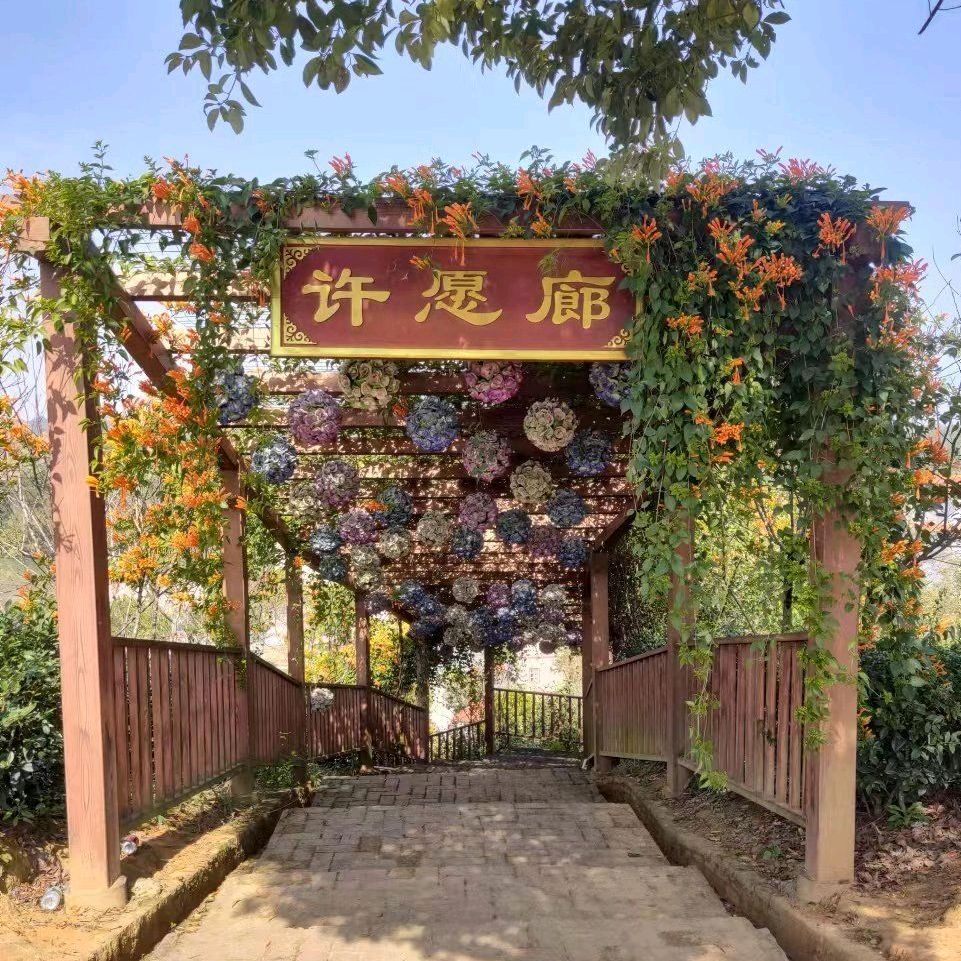 仙迹桃花岛旅行图片 3