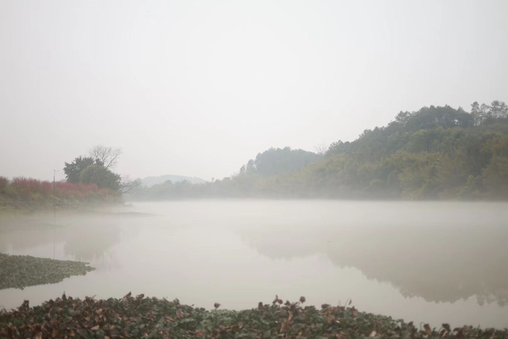 仙迹桃花岛旅行图片 1