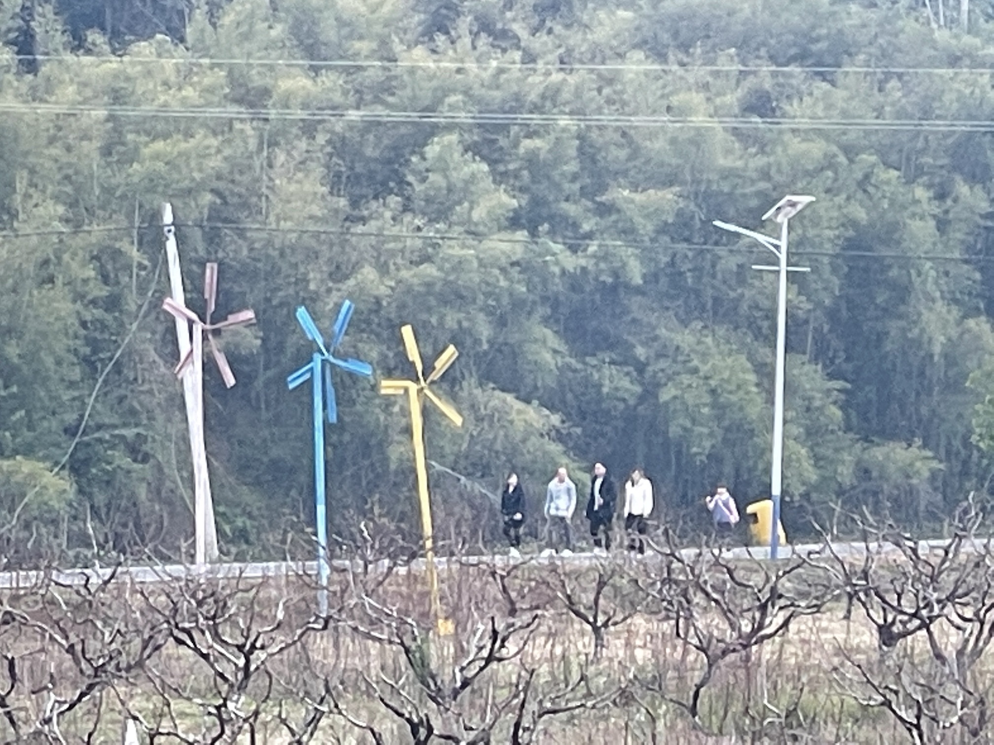 仙迹桃花岛旅行图片 1
