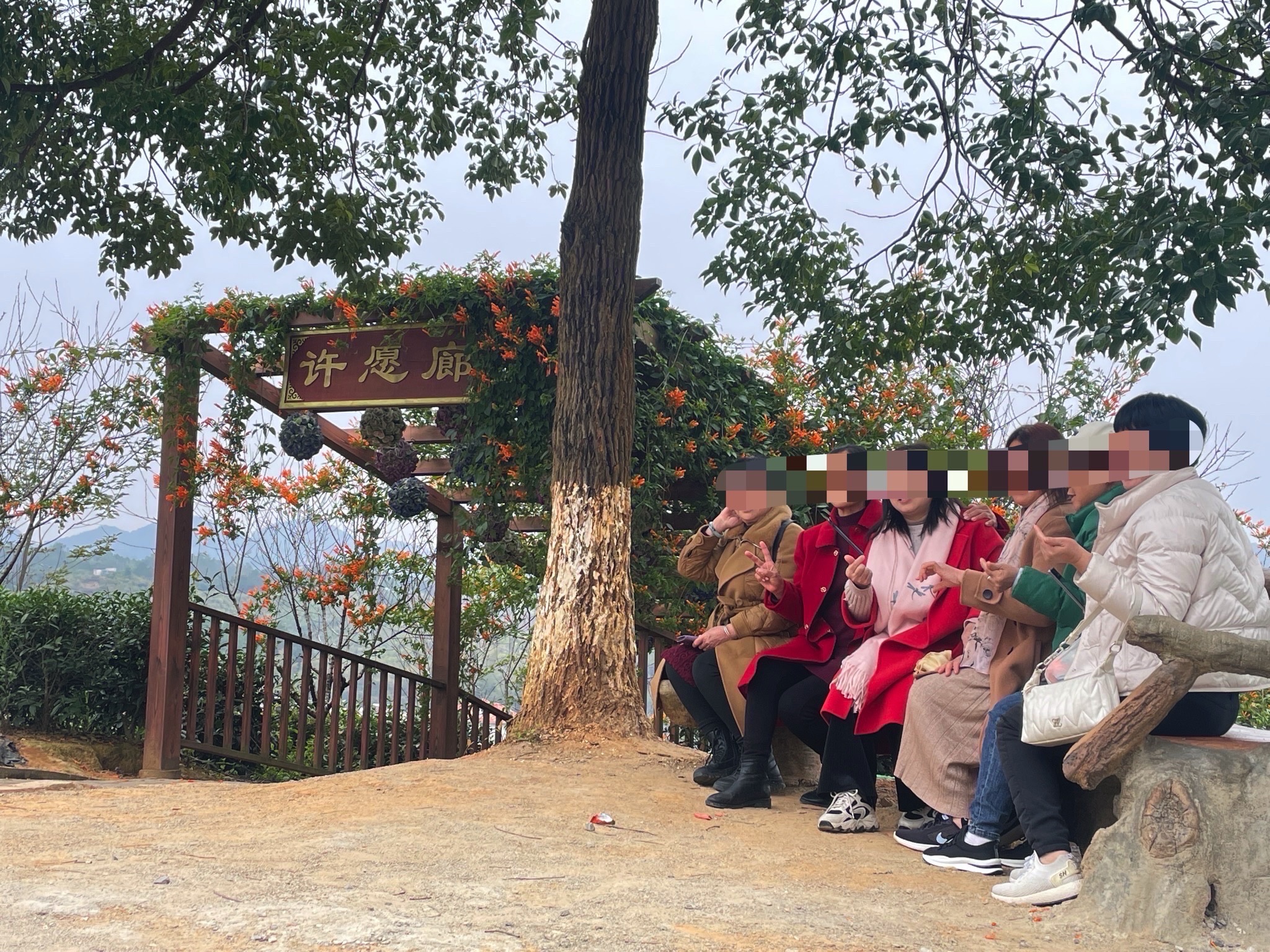 仙迹桃花岛旅行图片 3