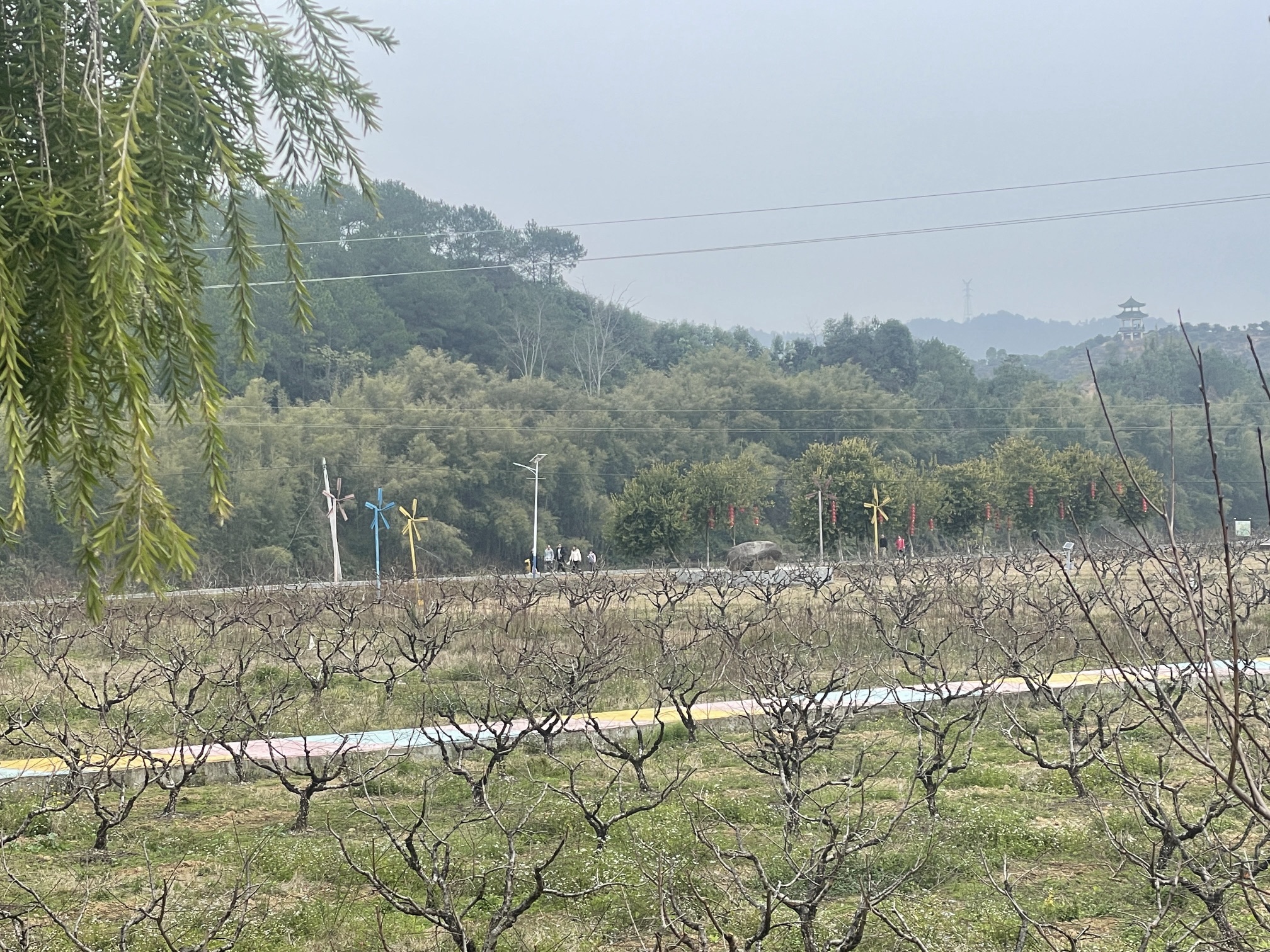 仙迹桃花岛旅行图片 2