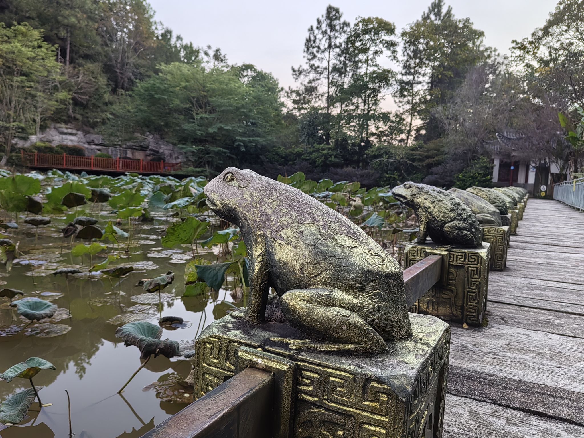 金鸡寨公园旅行图片 1