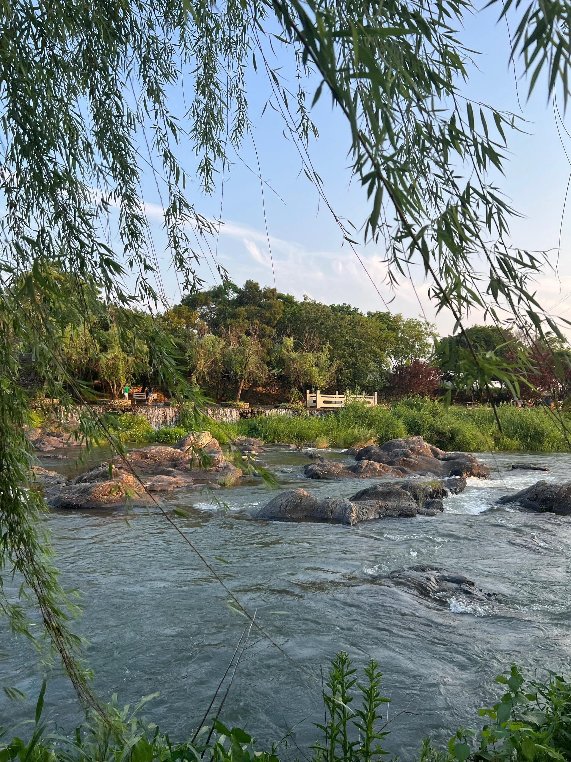 江口蒜溪生态公园旅行图片 1