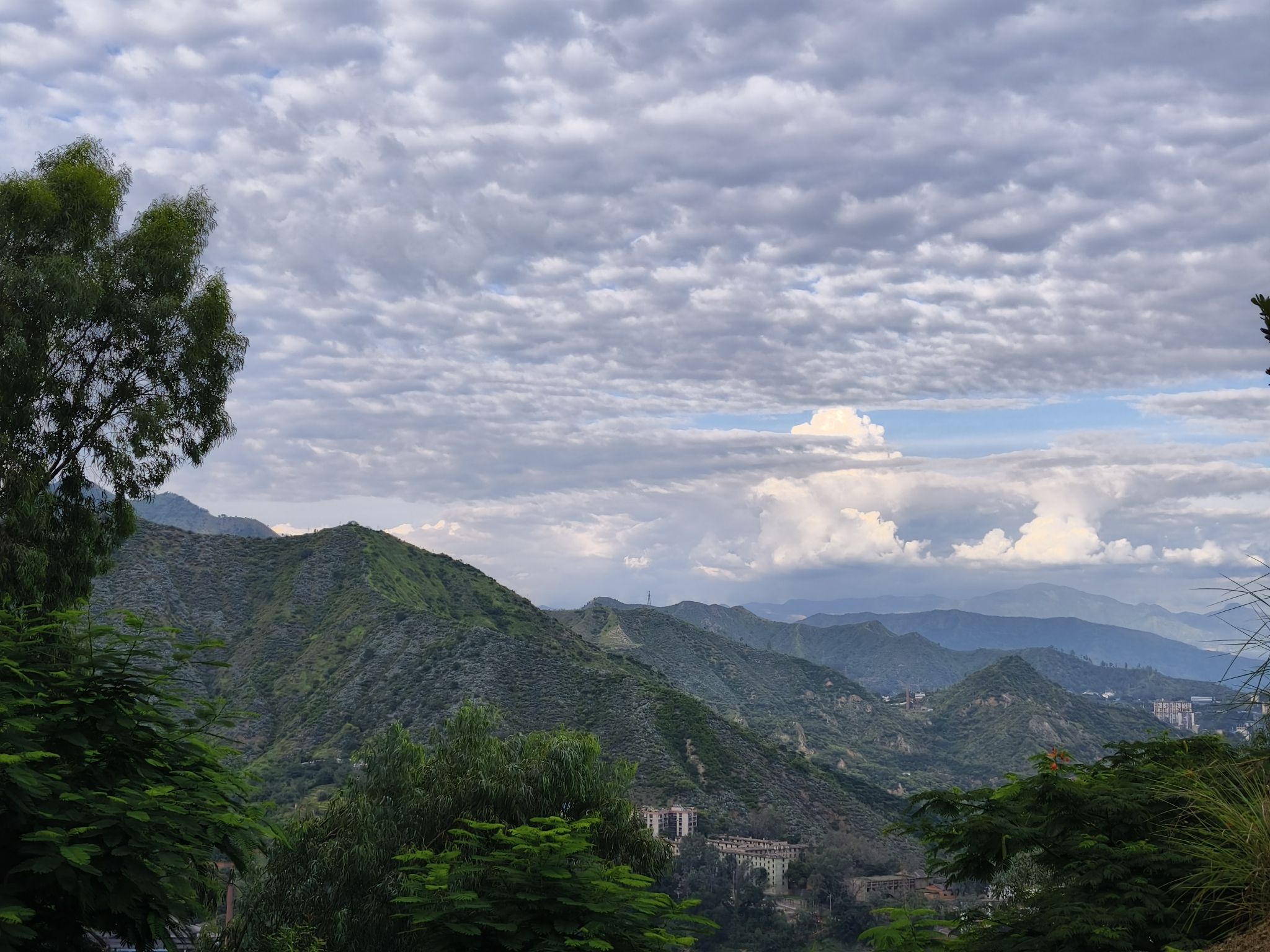 东区凤凰花公园旅行图片 3