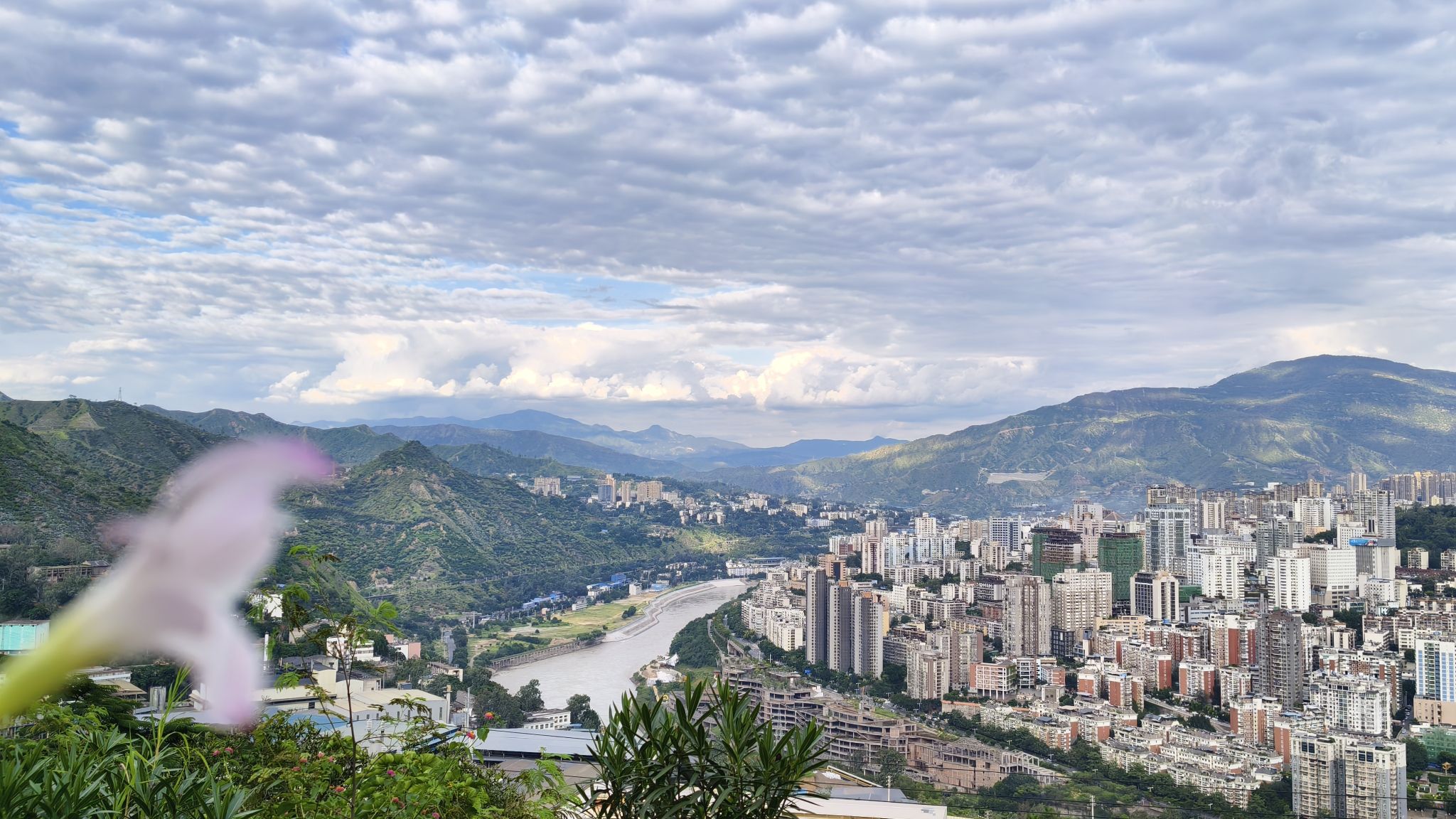 东区凤凰花公园旅行图片 1