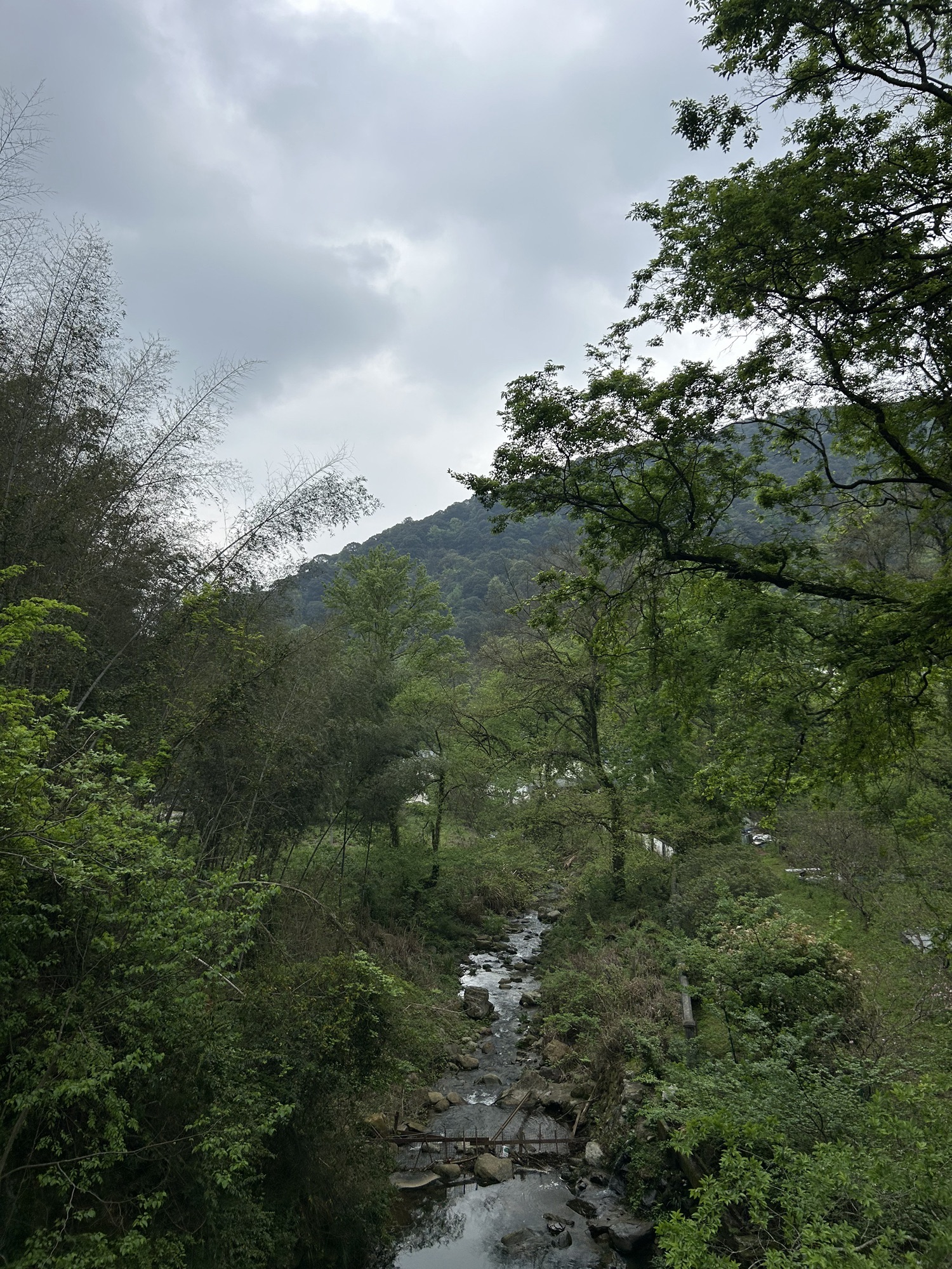 屏山旅游区旅行图片 3