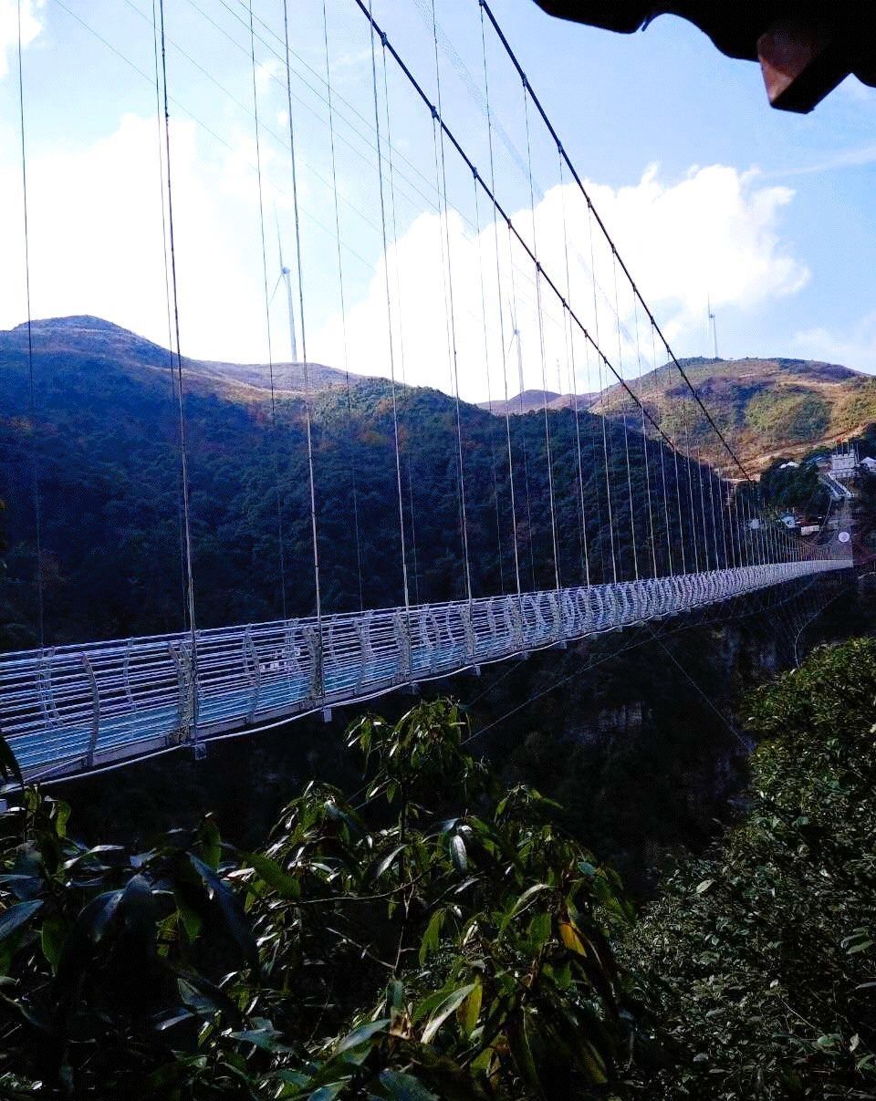 屏山旅游区旅行图片 2