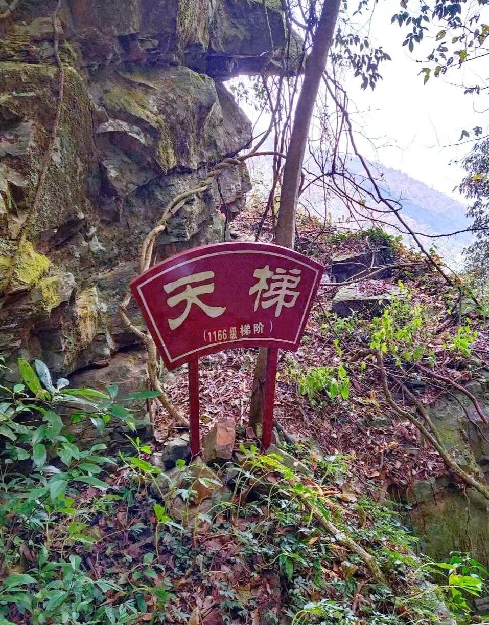 屏山旅游区旅行图片 3