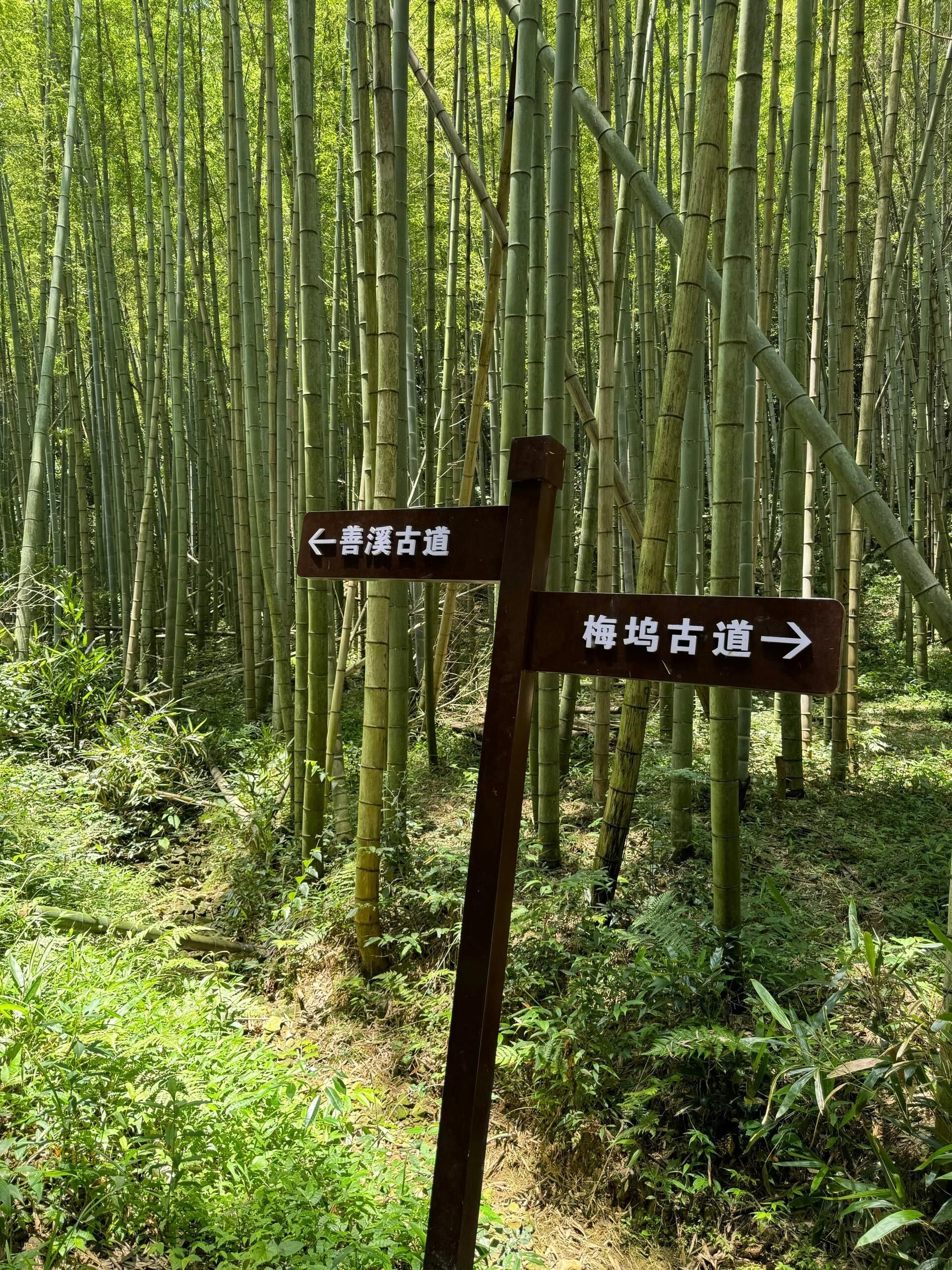 中华孝德园旅行图片 1