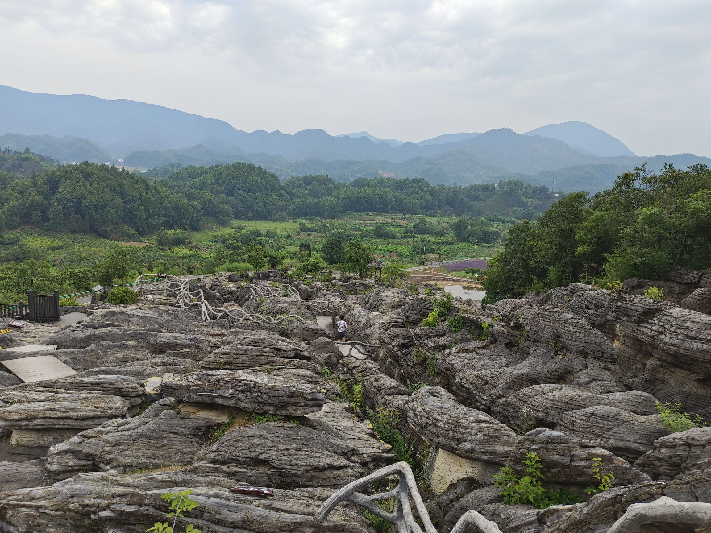 西递石林旅行图片 1