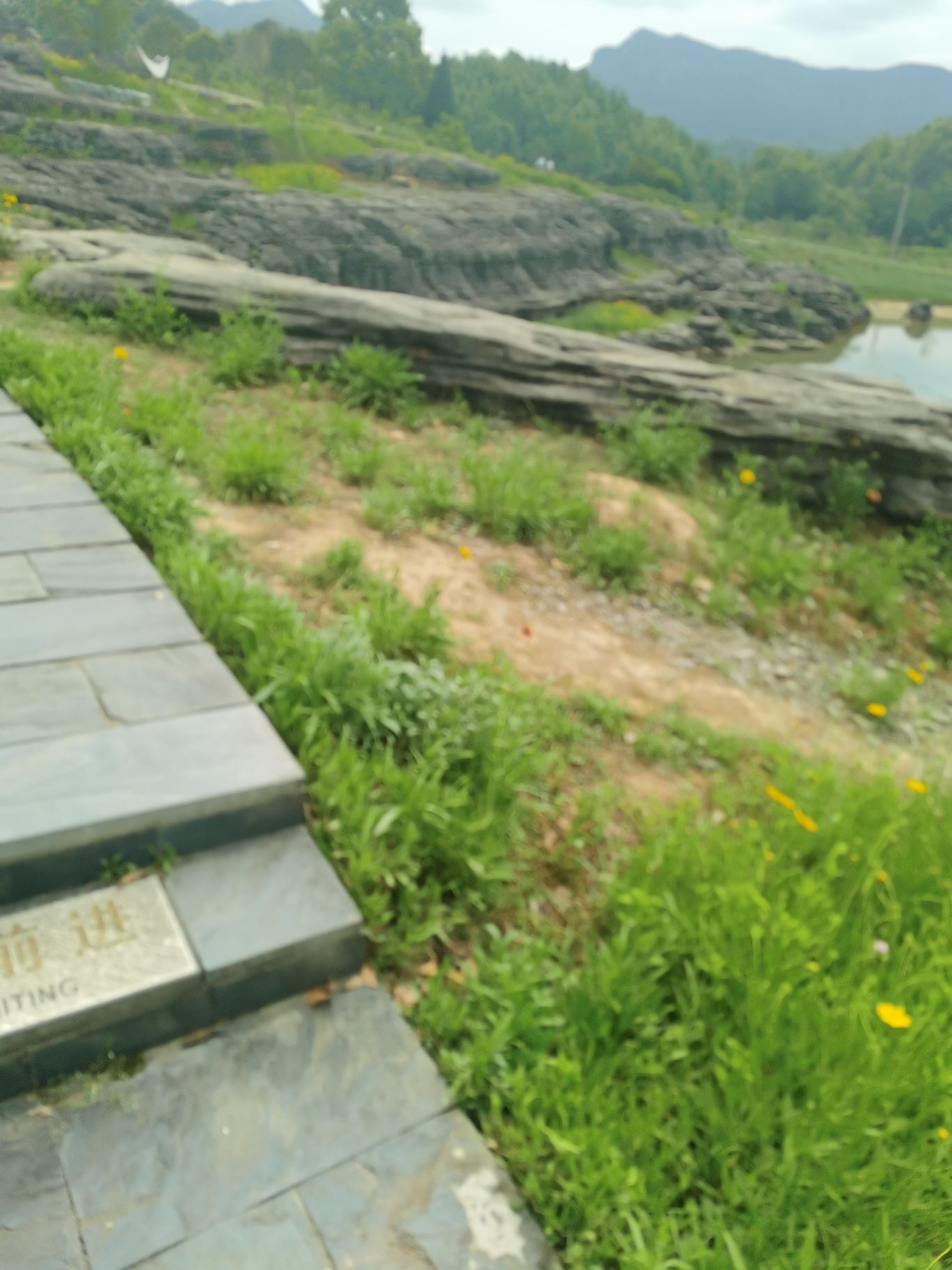 西递石林旅行图片 3