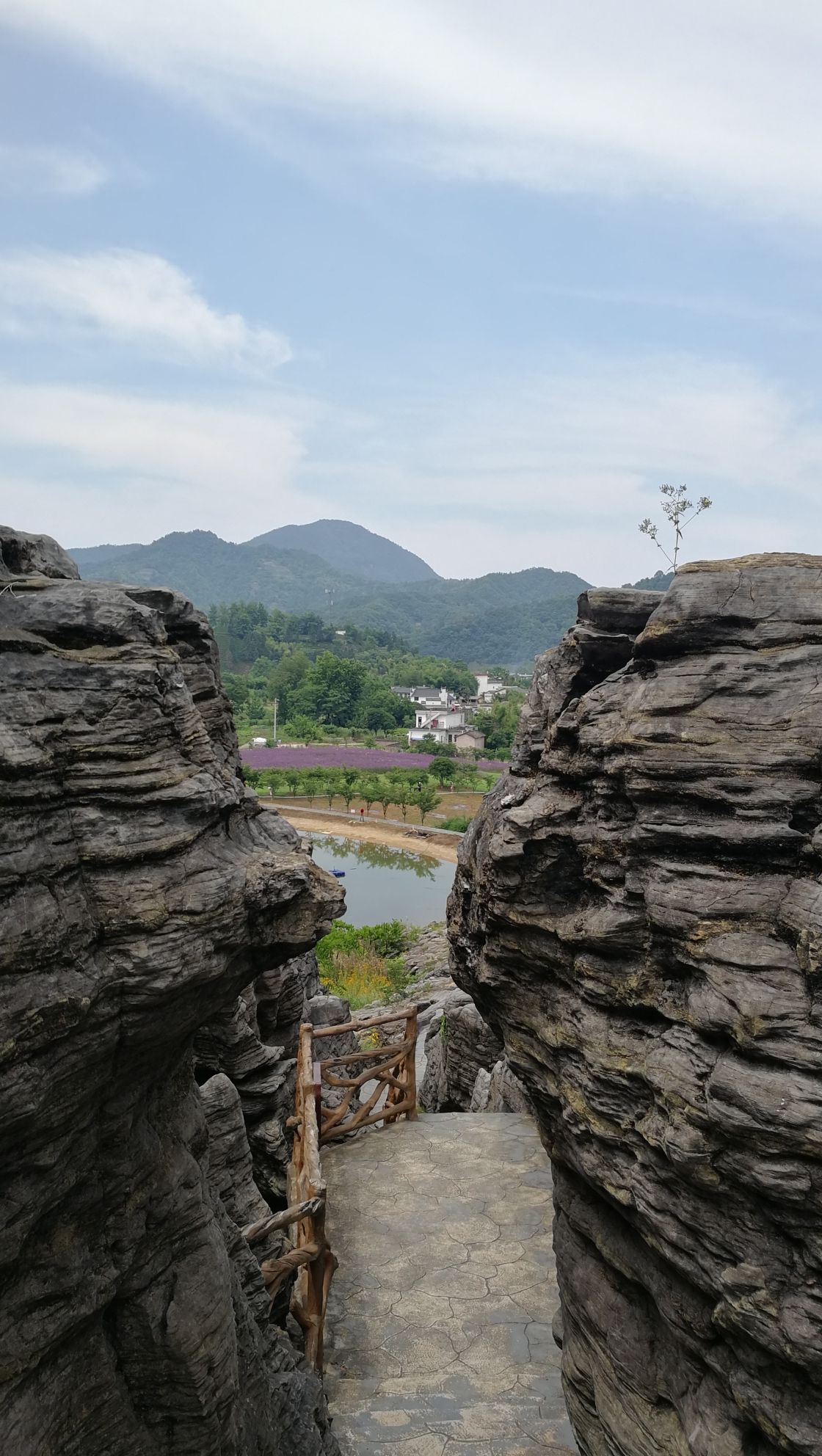西递石林旅行图片 3