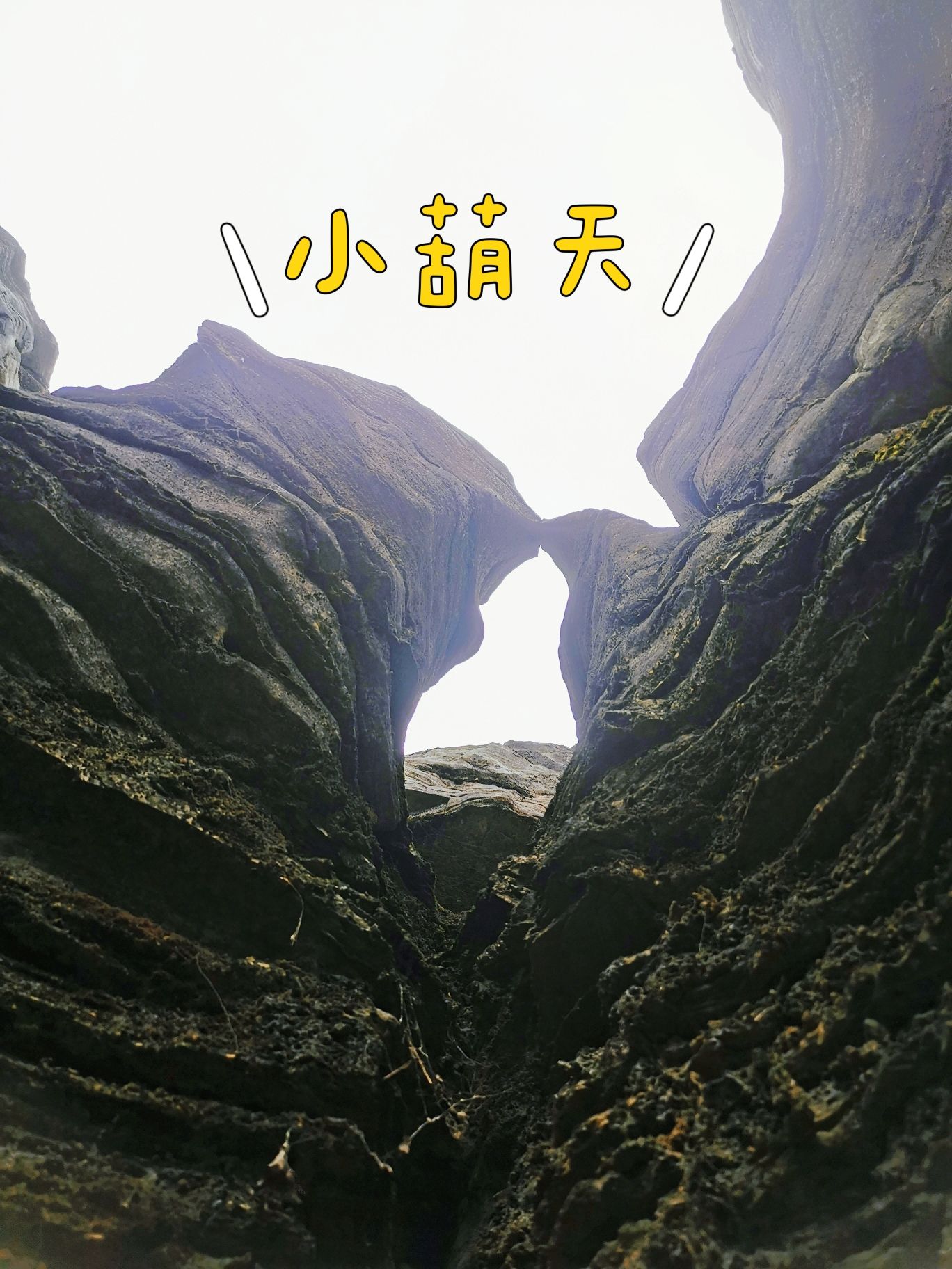 西递石林旅行图片 1