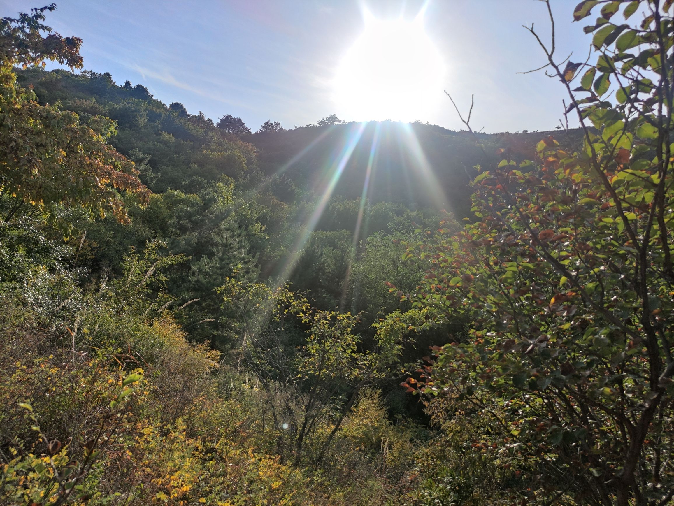 九龙公园旅行图片 3