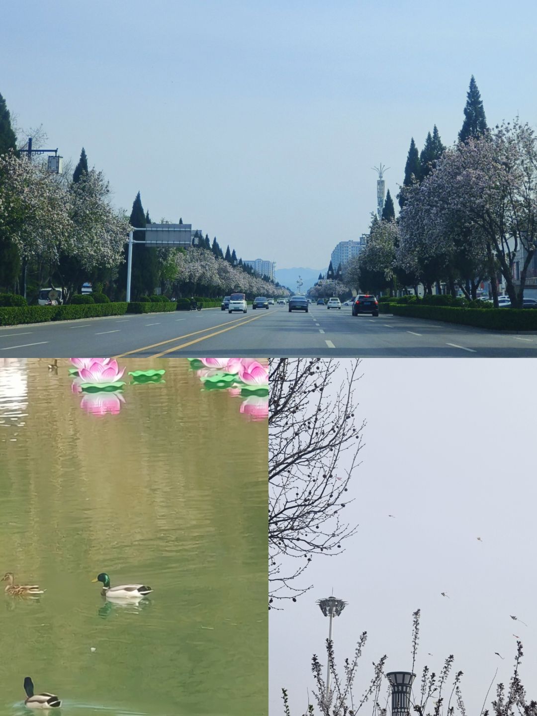 青州九龙峪景区旅行图片 2