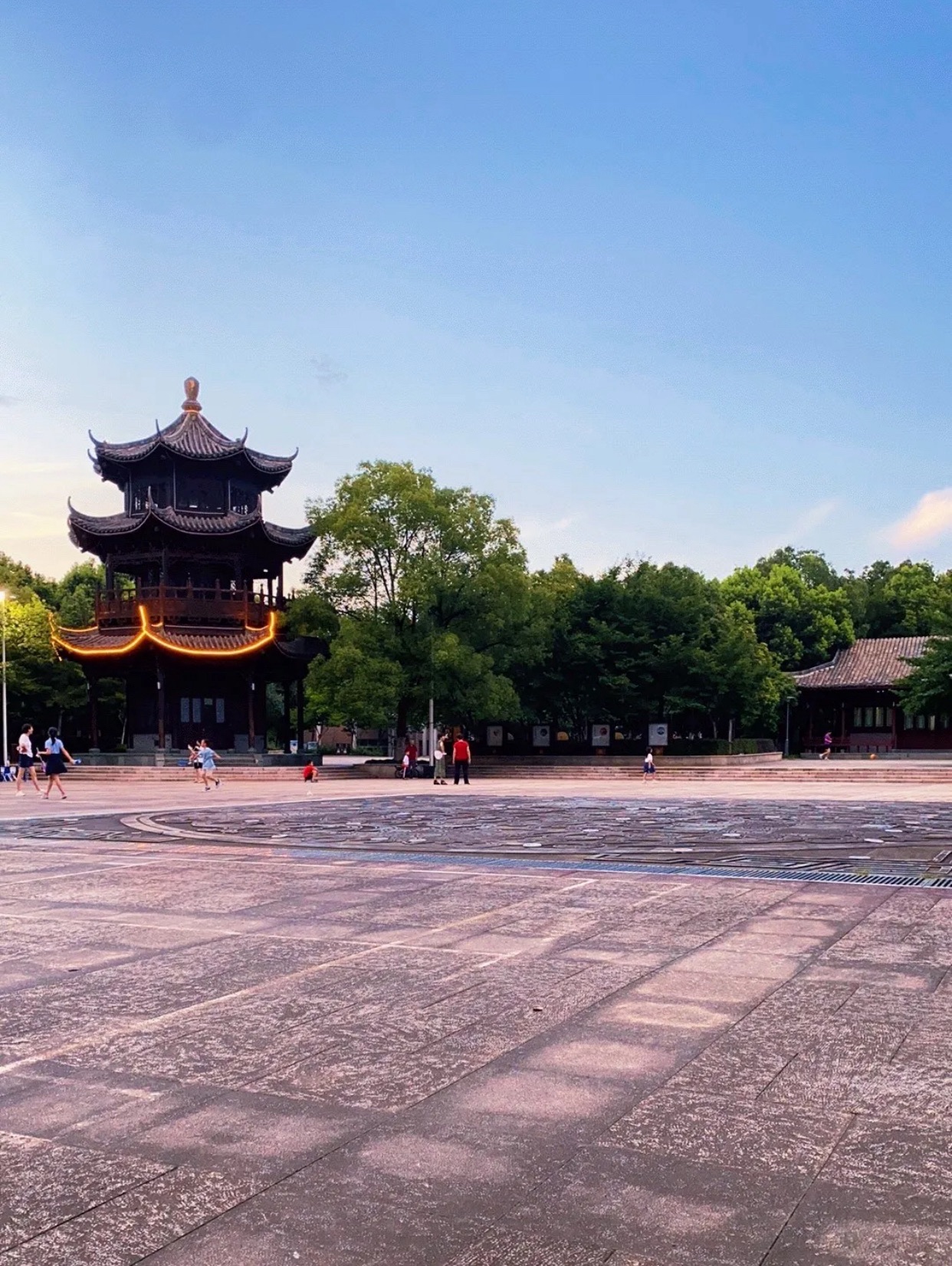 歌山画水公园旅行图片 3
