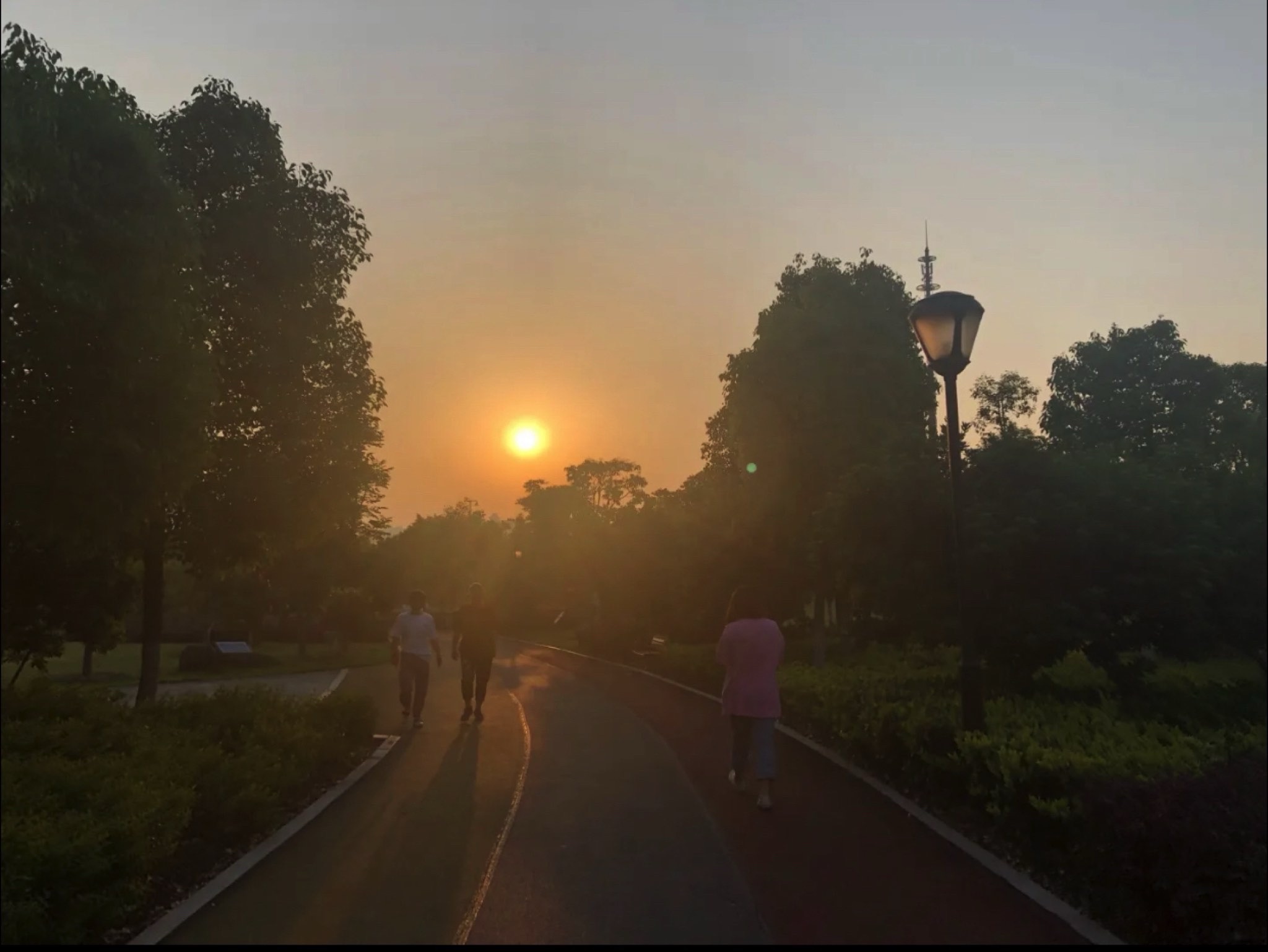 歌山画水公园旅行图片 1