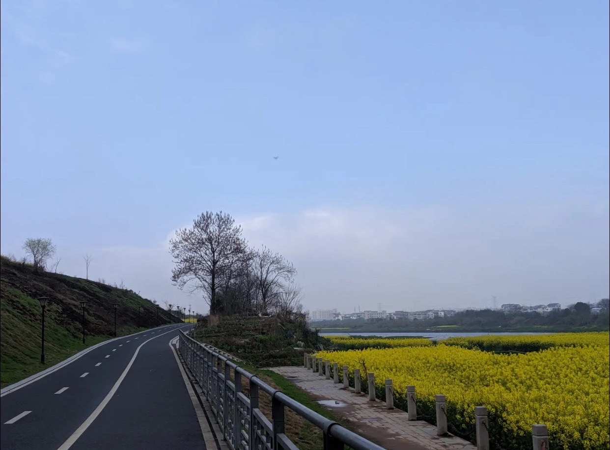 歌山画水公园旅行图片 2