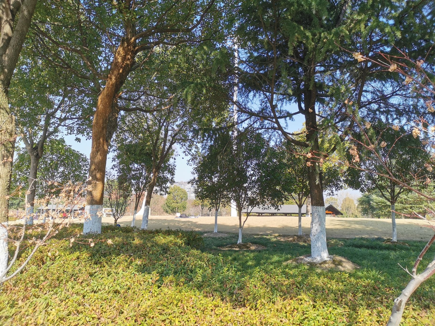 歌山画水公园旅行图片 3