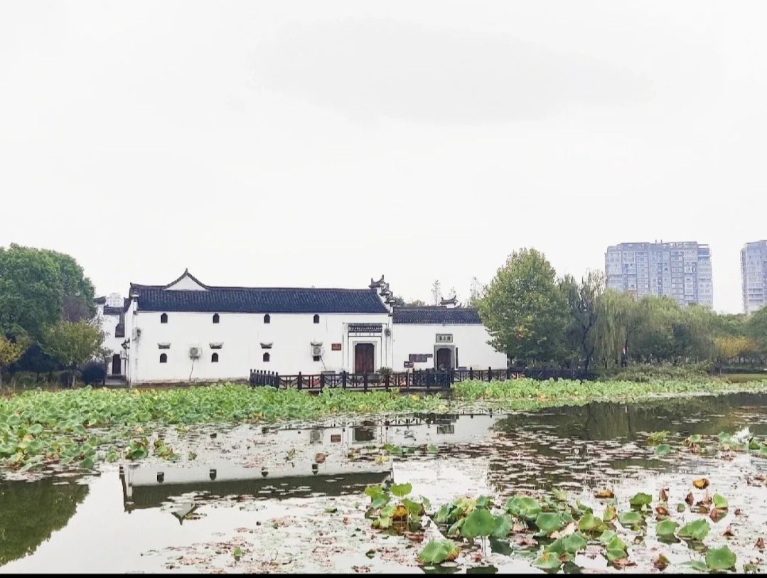 歌山画水公园旅行图片 1